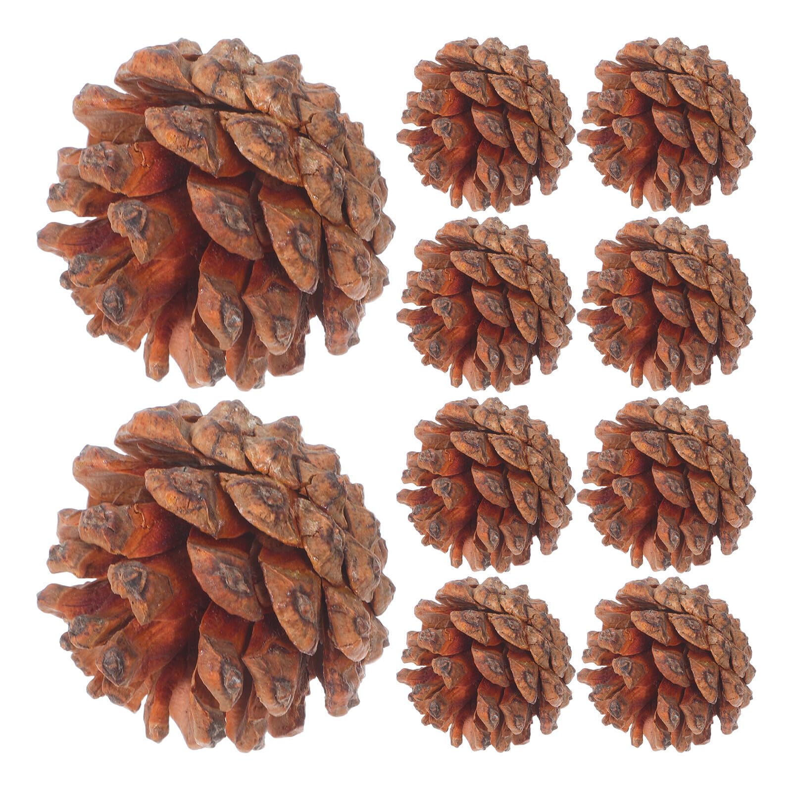130 Piñas Naturales Pequeñas de Pino 3-4 CM para Manualidades Navideñas Rellenar Jarrones y Centros de Mesa de Otoño y Acción de Gracias Decoración Rústica para Temporada
