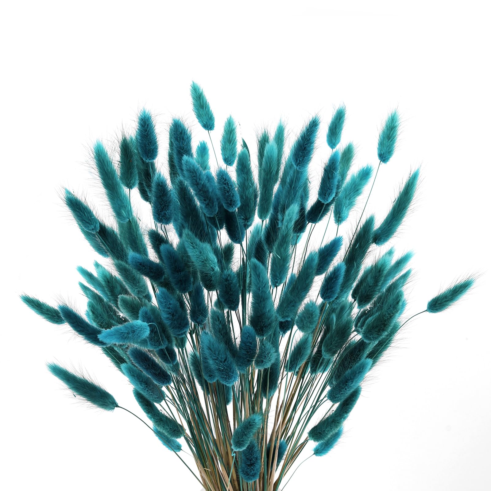 Photo 1 of 120pcs Bunny Tails Dried Flowers Spring Summer Plant Boho Pampas Grass 17 inch for Home Decor Wedding Bouquet Natural Flower Arrangements (Teal)