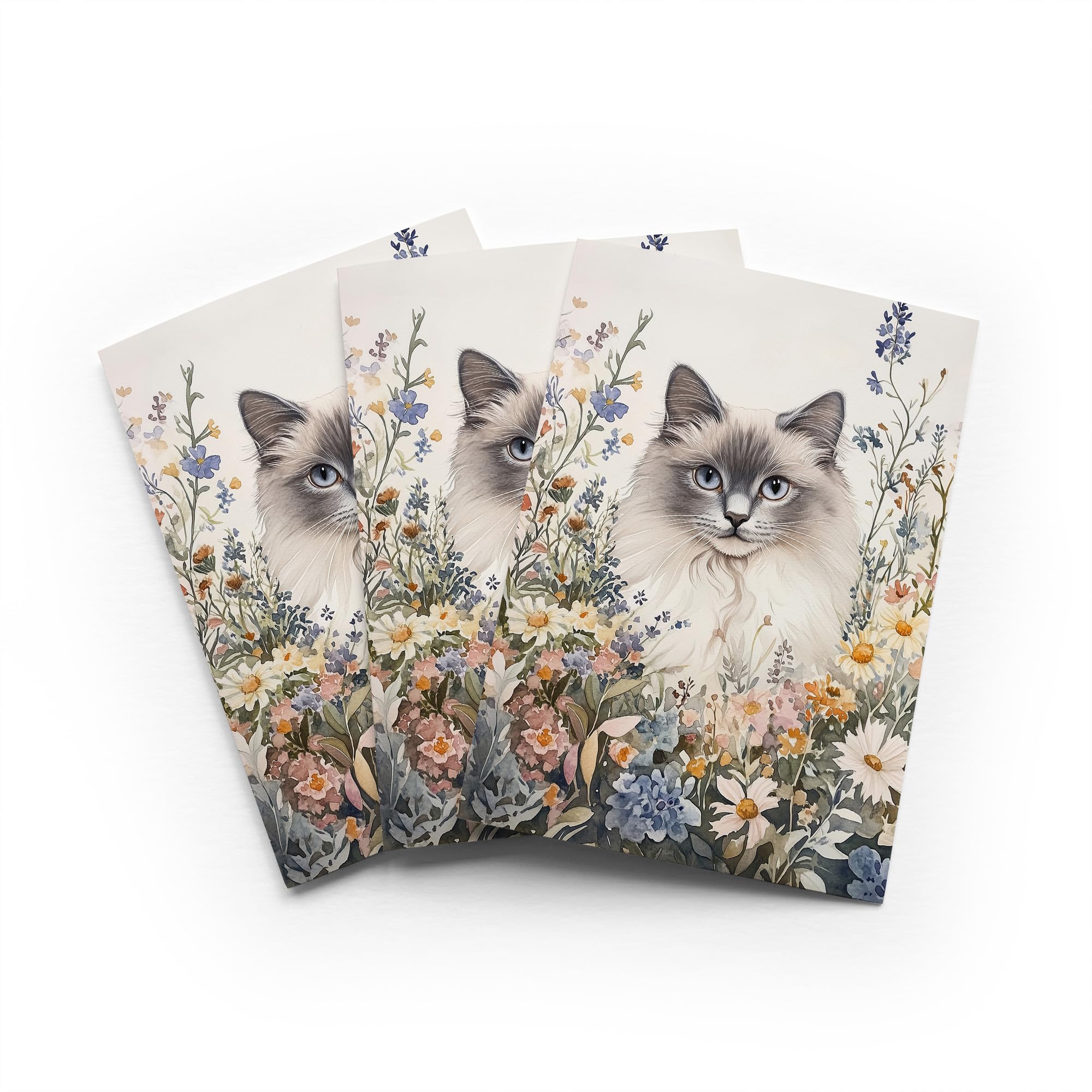 Ragdoll Cat Spring Flowers Greeting Card Pet Portrait Any Occasion Set of 3 Blank Inside 5x7 Inch 13x18 cm