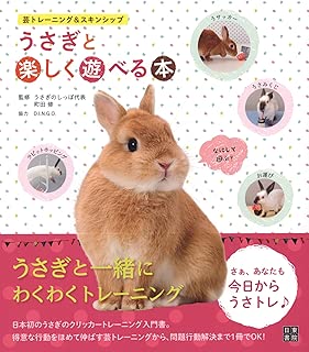 うさぎと楽しく遊べる本