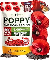 Vista 36 de HOME GROWN Semillas de eneldo sin OMG para plantar 1,014 ramos de semillas de eneldo y semillas de hierbas tradicionales para plantar al aire libre