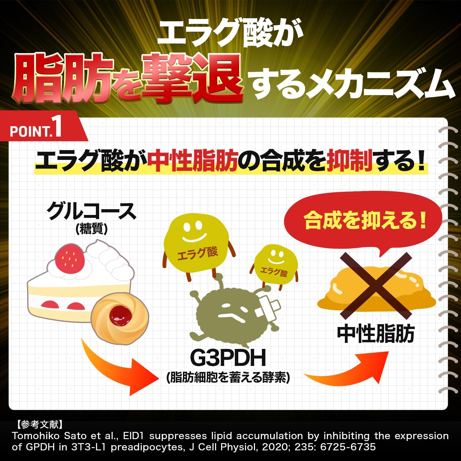Amazon | 【 機能性表示食品 】 シボトリー PREMIUM ザクロエキス