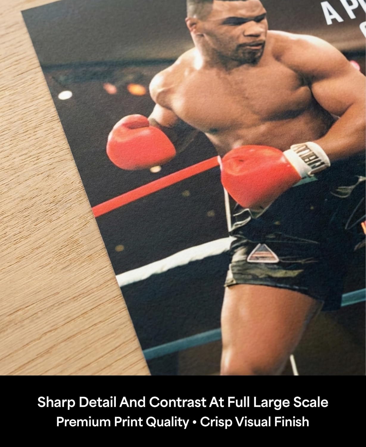 Everyone Has a Plan Boxing Motivation Wall Art 18x24 — Inspirational Sports Poster for Men — Unframed Fighter Quote Print for Home Gym Decor Office Man Cave