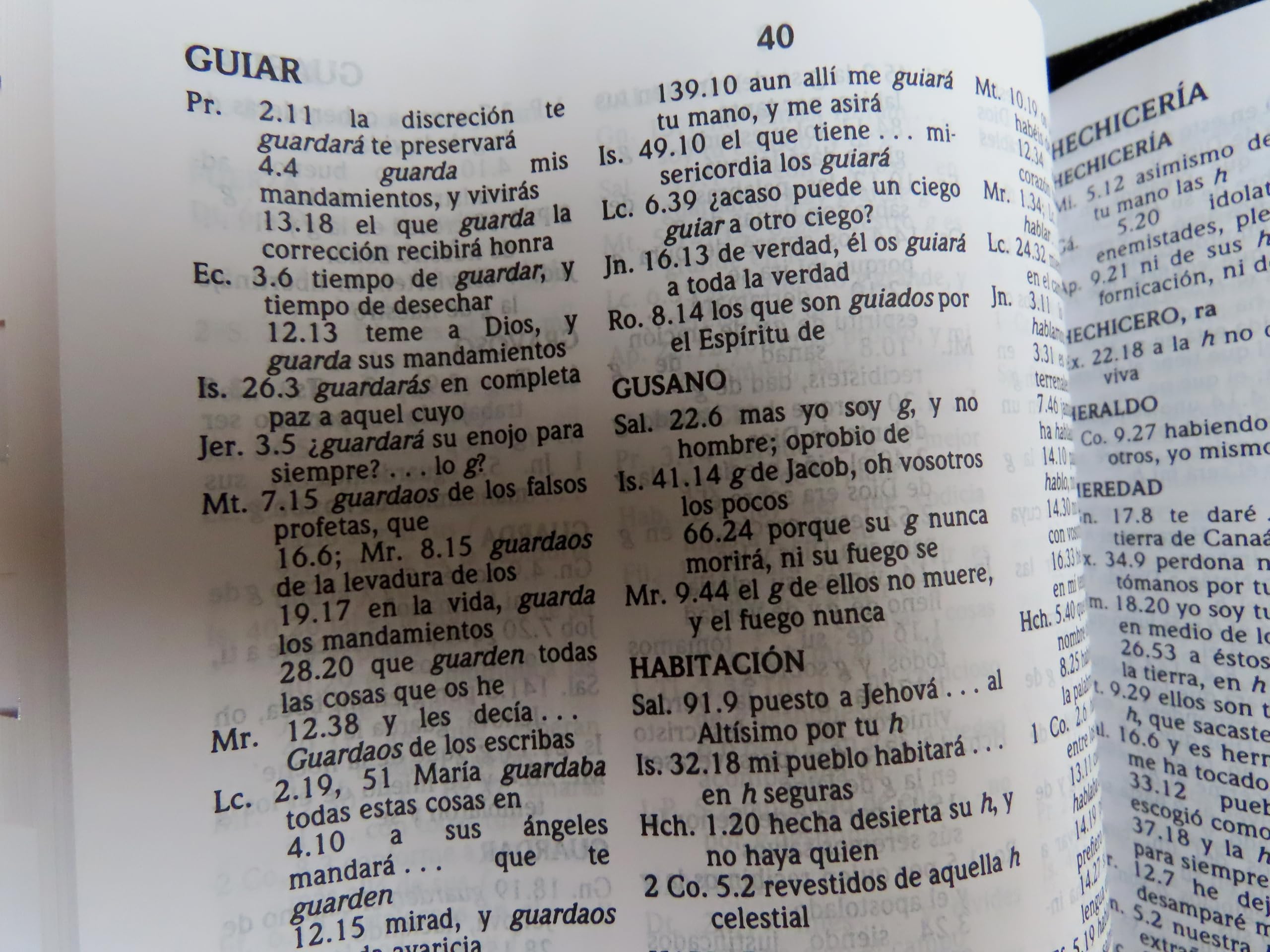 Genérico RVR Study Bible 1960, czarna sztuczna skóra z zamkiem błyskawicznym, wersja Queen Valera, wzmocnione etui z kieszenią