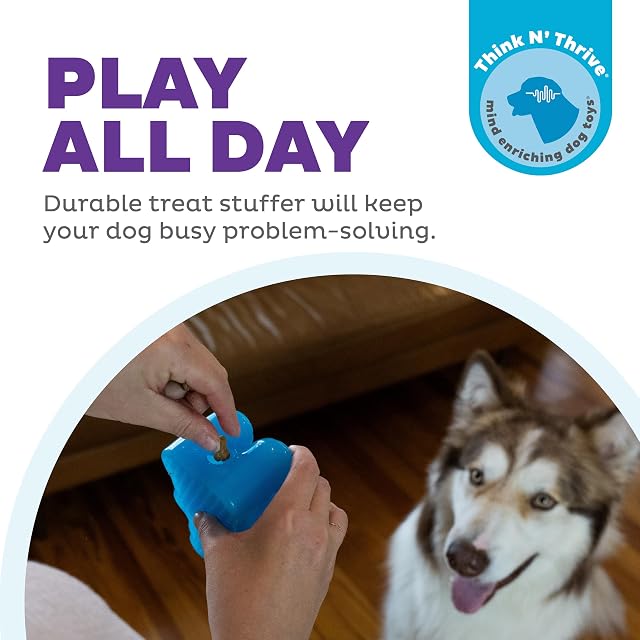 Foto 2 de 8 de Outward Hound Gummiez Bear - Juguete masticable 2 en 1 para Perros, Color Azul