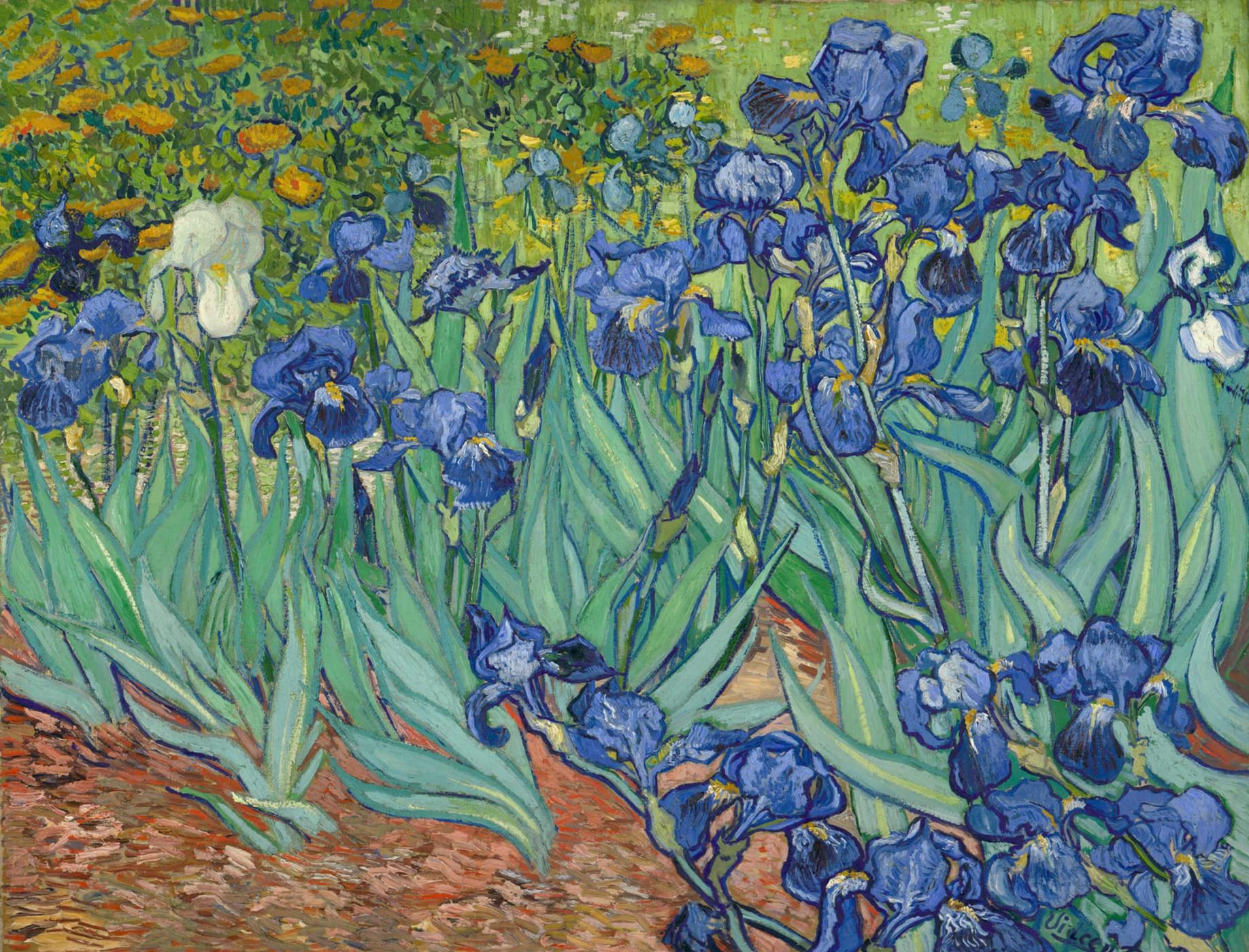 liziciti 5D Diamond Painting Kits 12x16in Full Drill Van Gogh Diamond Landscape Painting Wall Diamond Dots Decor DIY (Irises)