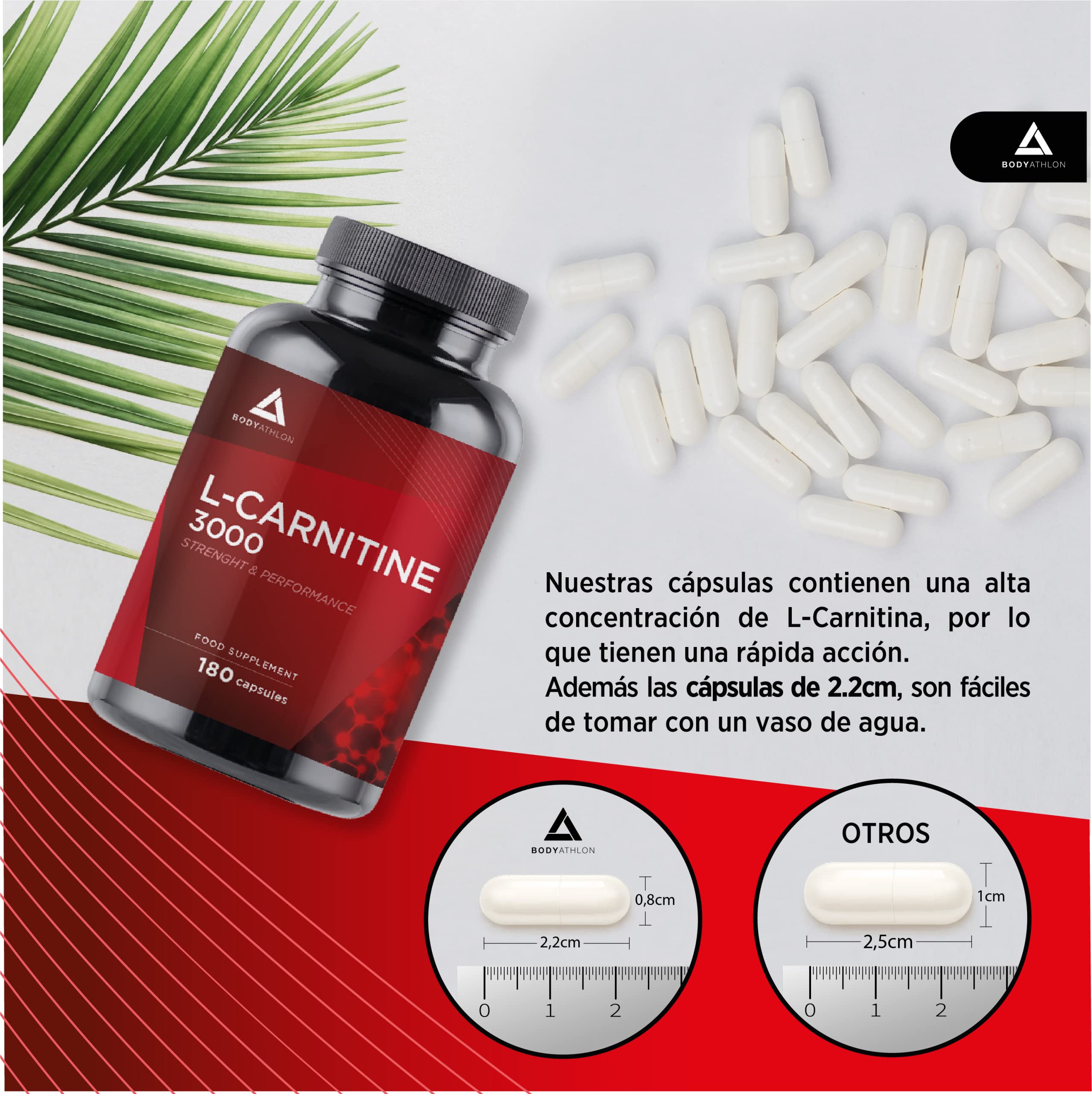 L Carnitina 3000 Cpsulas 180 cpsulas 100% L-Carnitina Tartrato- Aum...