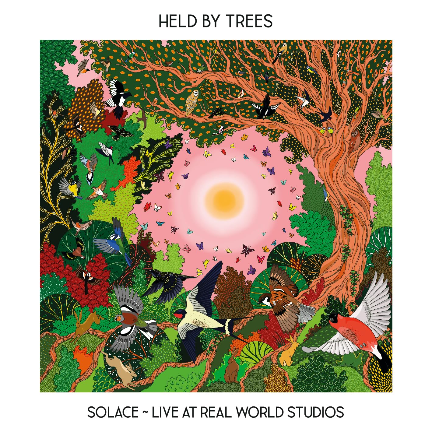 Held By Trees Solace - Live At Real World Studios CD New 850049679022