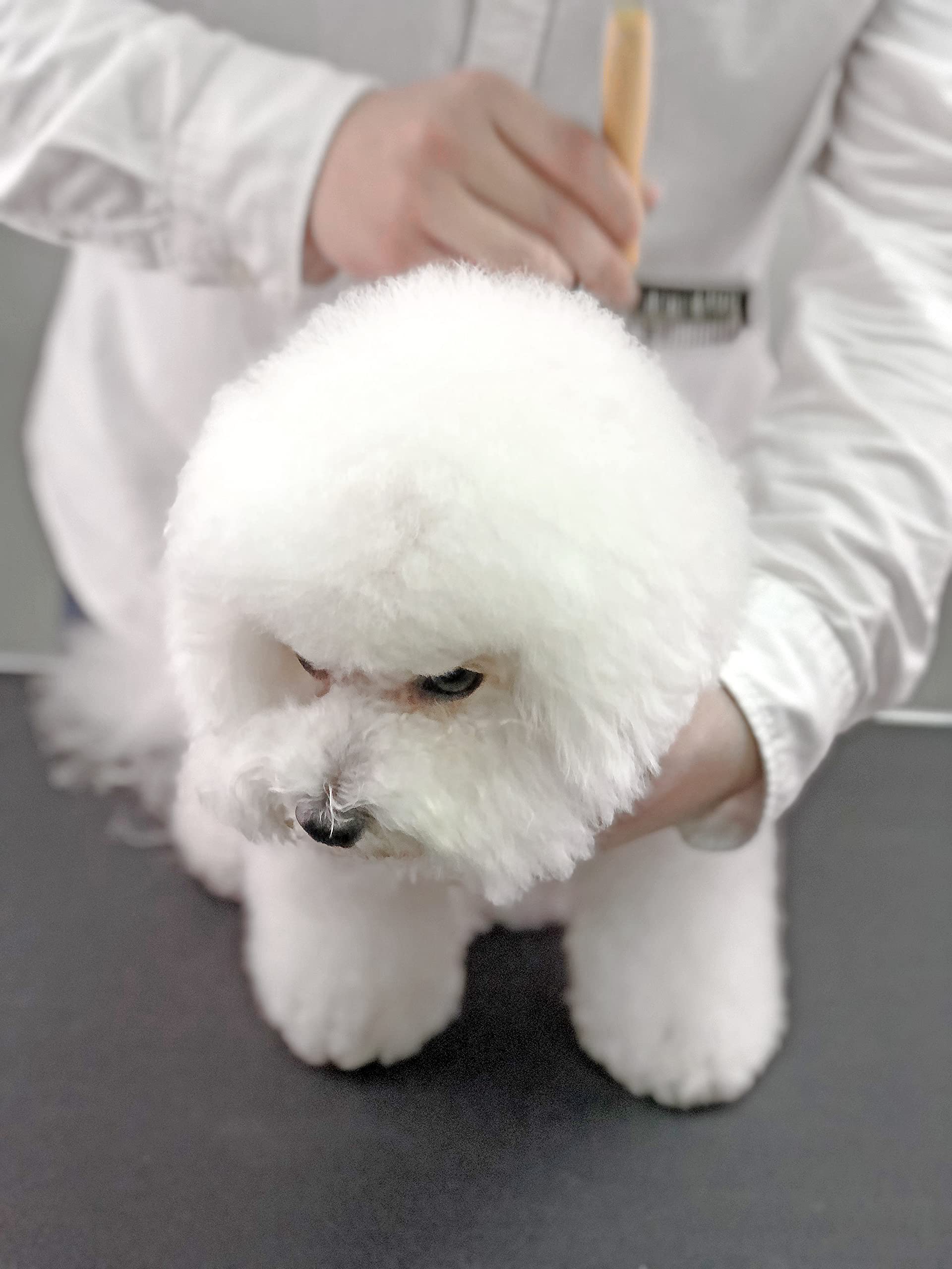 Furzone Slicker Szczotka dla psów Miękka szpilka do pielęgnacji zwierząt domowych - Narzędzie do pielęgnacji psów z grzebieniem do usuwania włosów, wypadania włosów i podszerstków - Rozmiar M