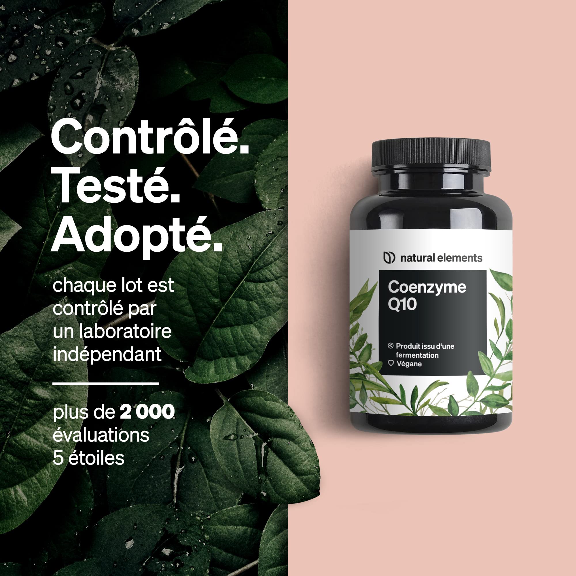 Coenzyme Q10 – 200 mg par gélule – 120 gélules véganes – couverture de 4 mois – Q10 premium issu de la fermentation de maïs – hautement dosé, fabriqué et contrôlé en laboratoire en Allemagne