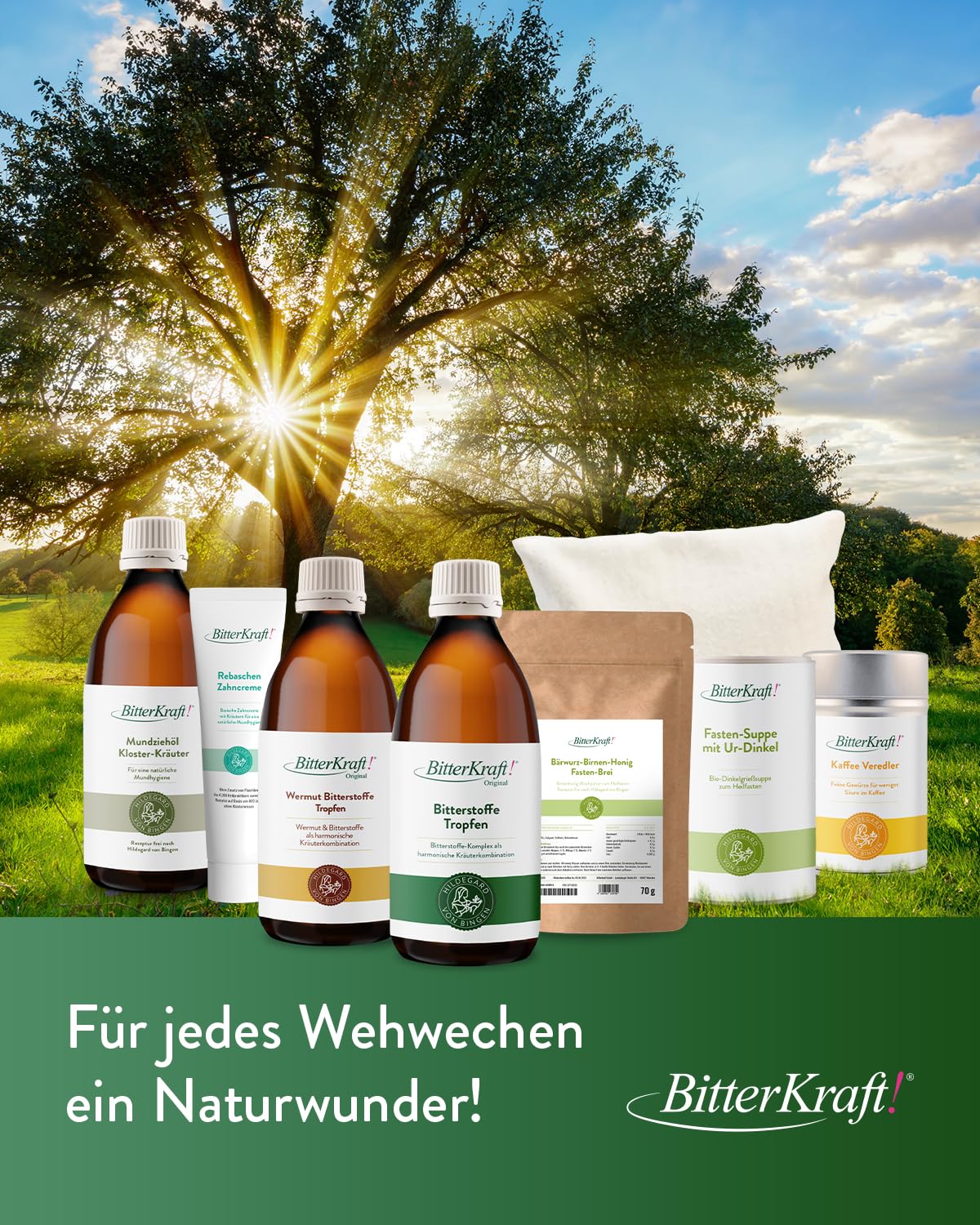 BitterKraft! Original BIO Bitterstoffe Tropfen 100 ml – nach Hildegard von Bingen – 9 erlesene Bitterkräuter - Verdauungsfördernd – hochdosierte Bittetropfen - 100% Natur – Vegan – Made in Germany