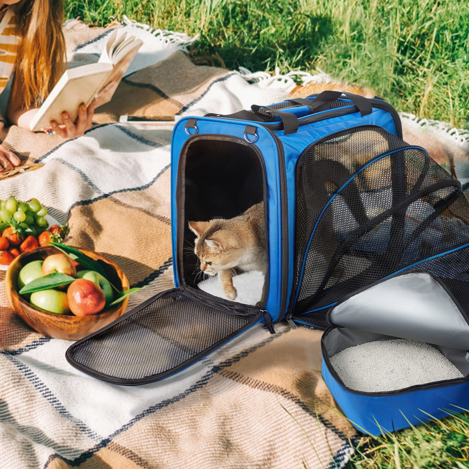 Best Cat Carrier For Long Distance Car Travel Cat Carrier Bag