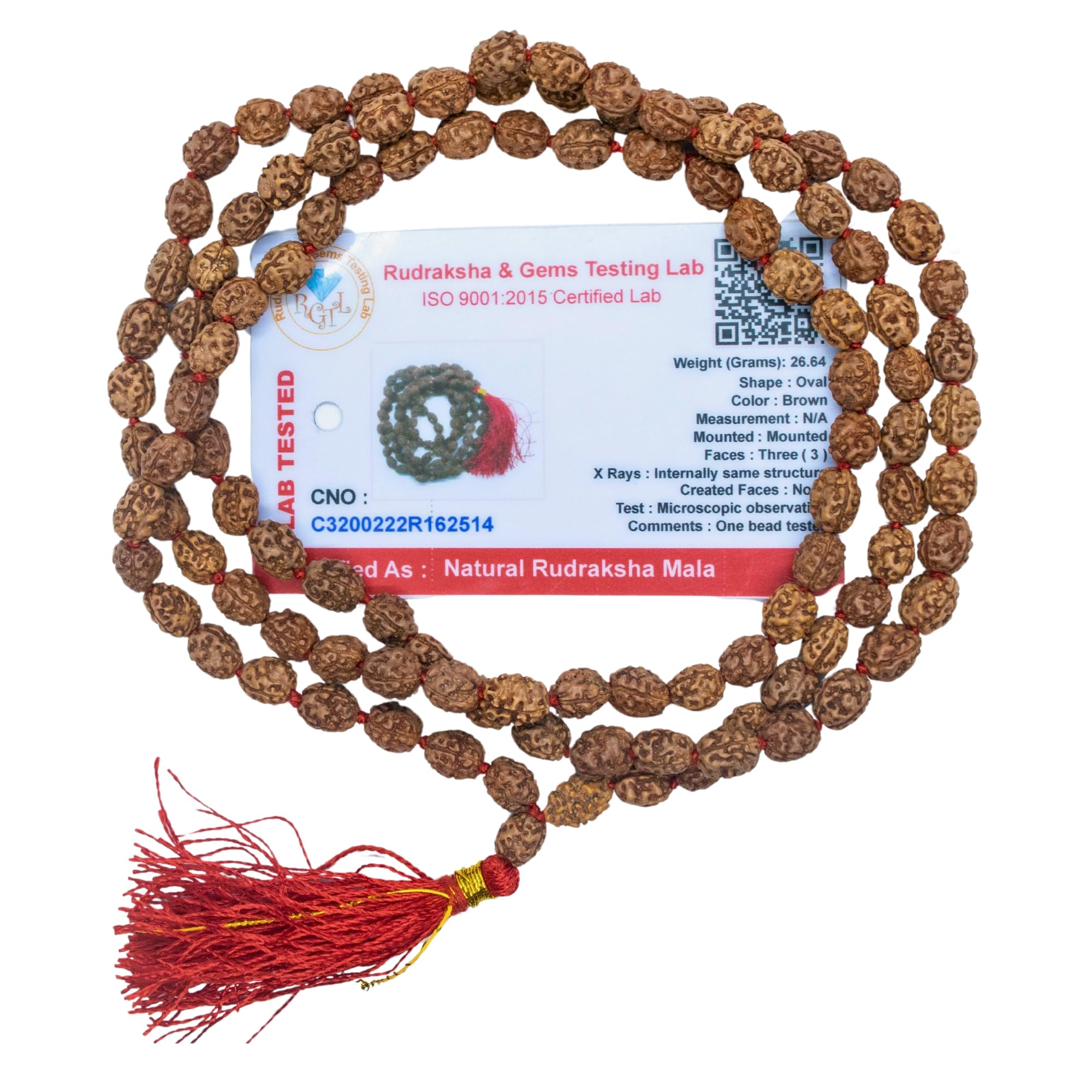 6 Mukhi Rudraksha Mala - Lab Certified -5