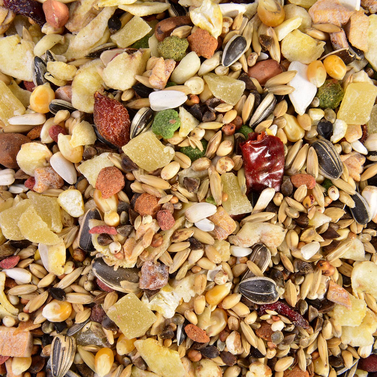 Wagner's | Amazonenfutter - 5 kg Mix Saaten & Obst für Amazonen