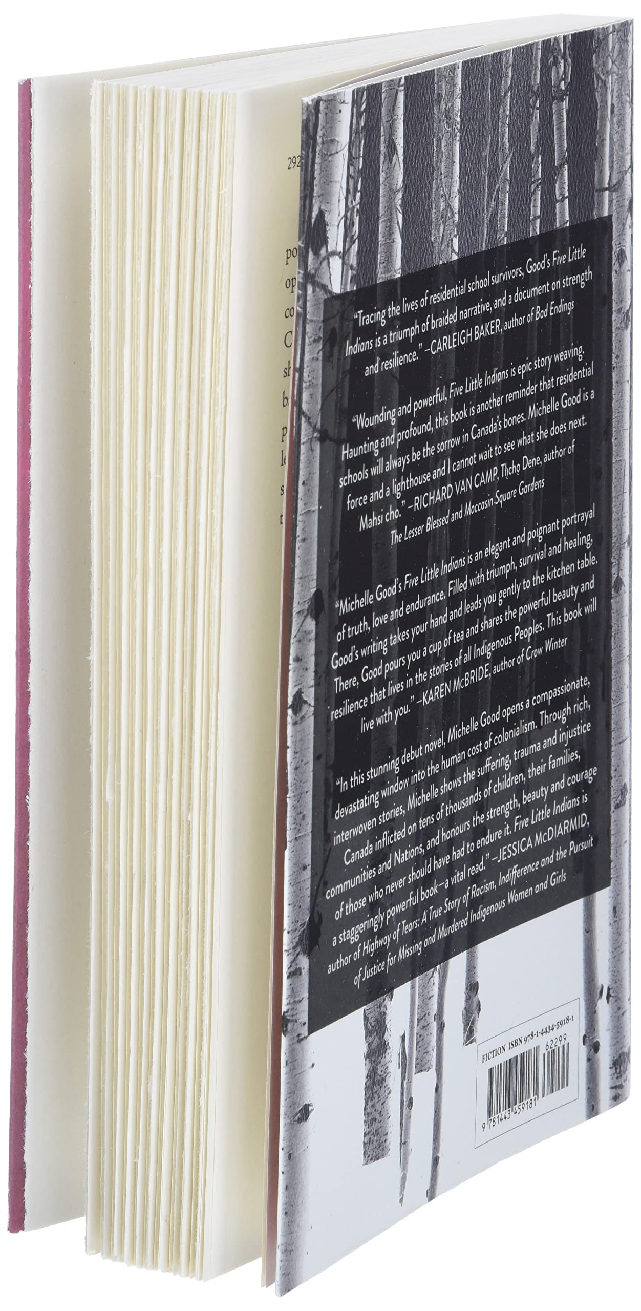 Five Little Indians: A Novel - Image 4