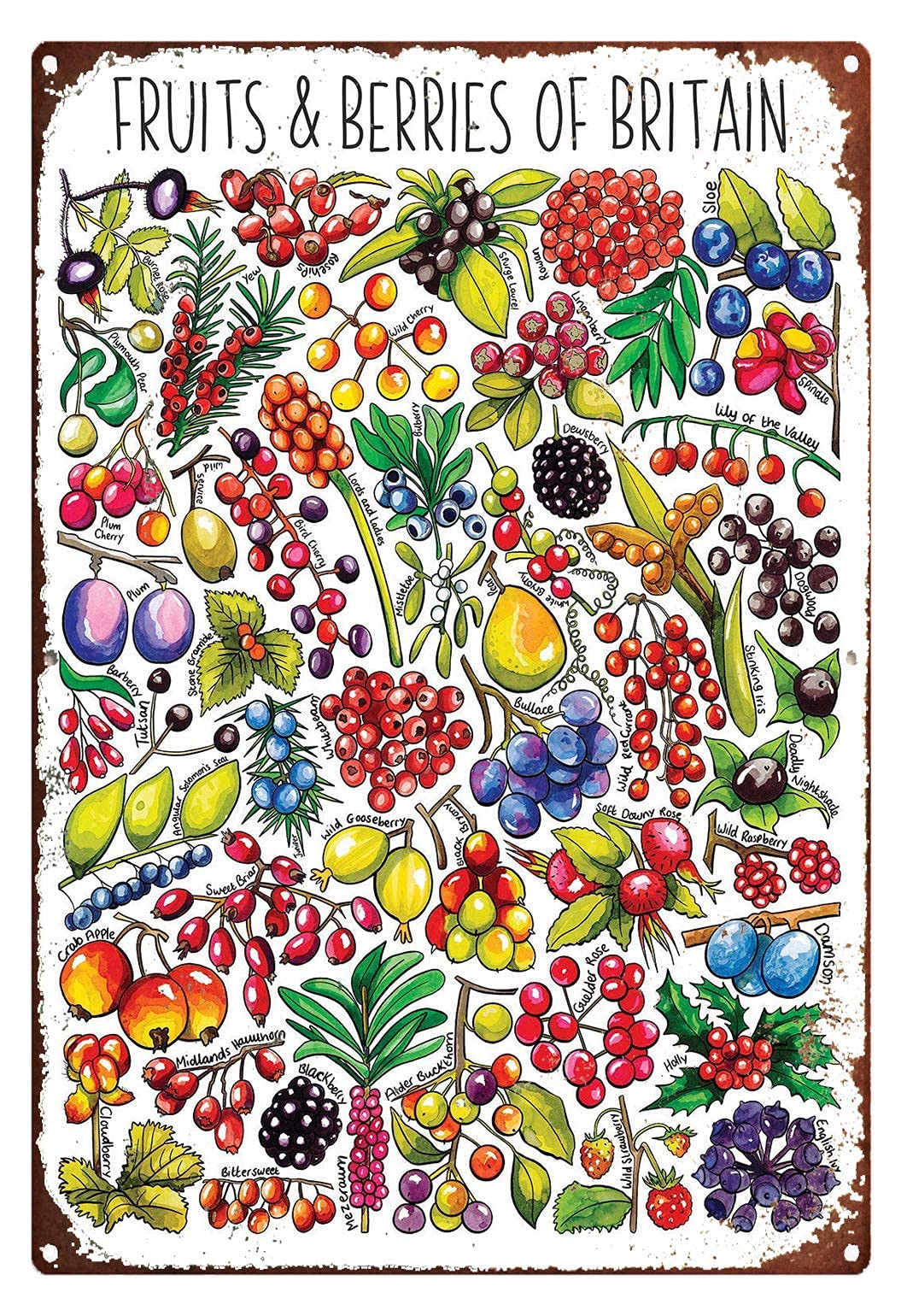 Lawenp Fruits and Berries of Britain Vintage Wall Decor Bar Decor Aluminum Sign for Home Kitchen Bar Funny Sarcastic Metal 8 x 12 Inches Tin Sign