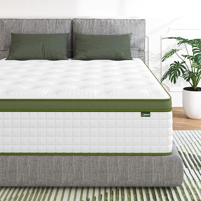 Maxzzz Twin Mattress,10 Inch Single Foam Mattress, Pocket Spring Memory
