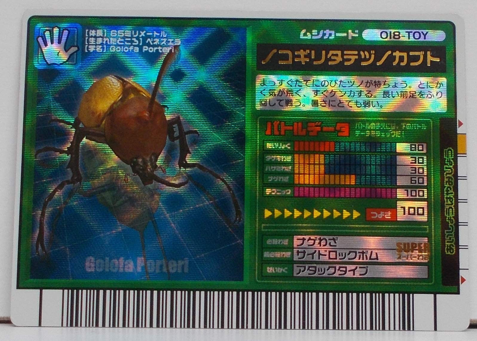 Amazon.co.jp: 【018-TOY】ノコギリタテヅノカブト（ムシカード