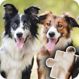 Natural puzzle dynamics Fun Cats & Dogs Jigsaw Puzzles for kids and toddlers - Free Edition - Fun and Educational Jigsaw Puzzle Game for Kids and Preschool Toddlers, Boys and Girls 2, 3, 4, or 5 Years Old