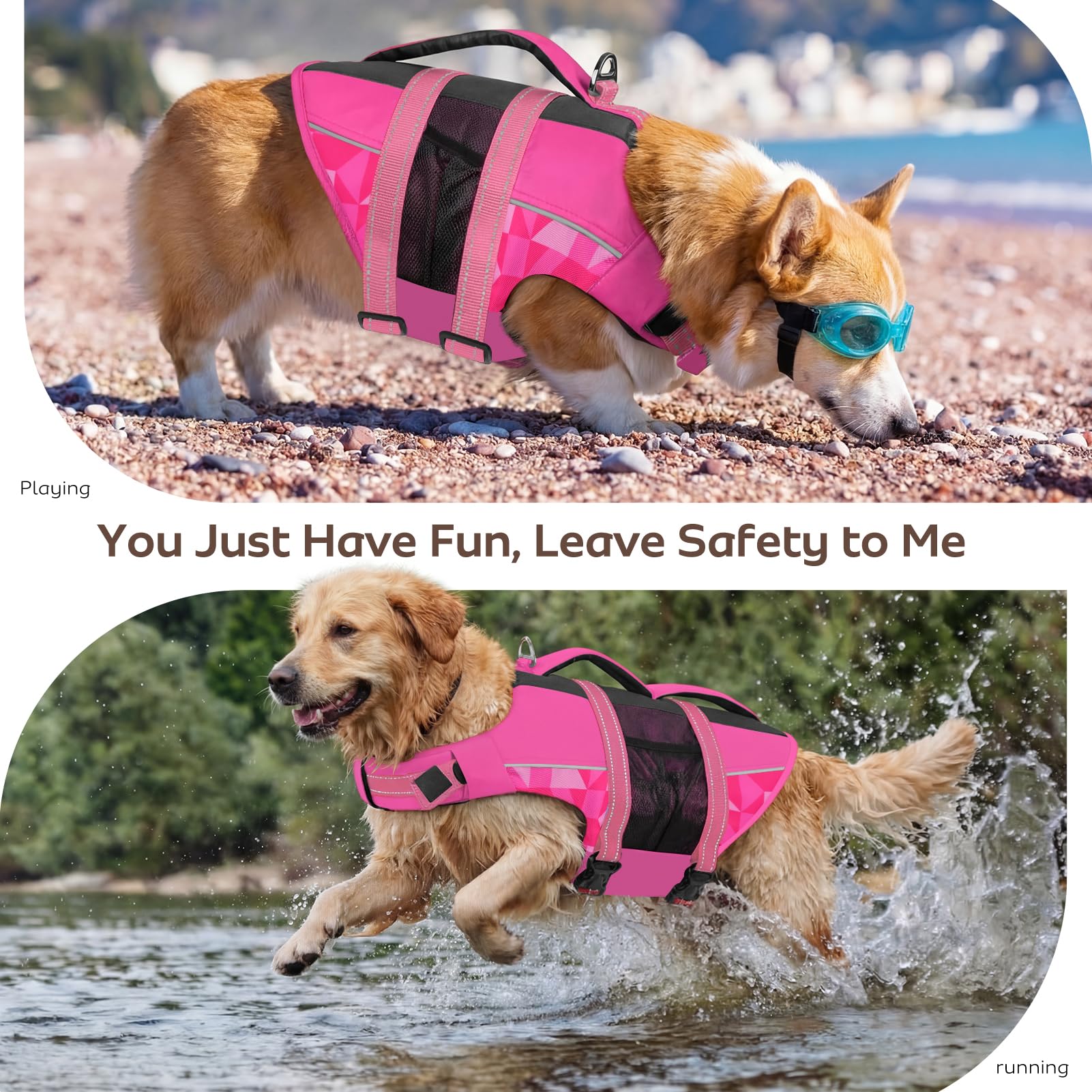 CITÉTOILE Chalecos Aalvavidas para Perros, Flotador Ajustable para Mascotas con Asa, Traje de Baño de Seguridad para el Agua para Navegar en la Piscina de la Playa, Rosa, XS