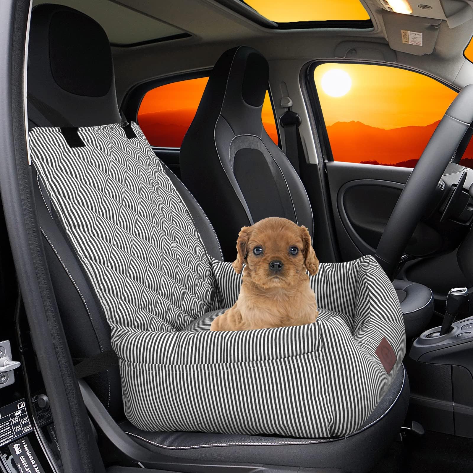 FUNNIU Dog Car Seat for Small Dog, Fully Detachable