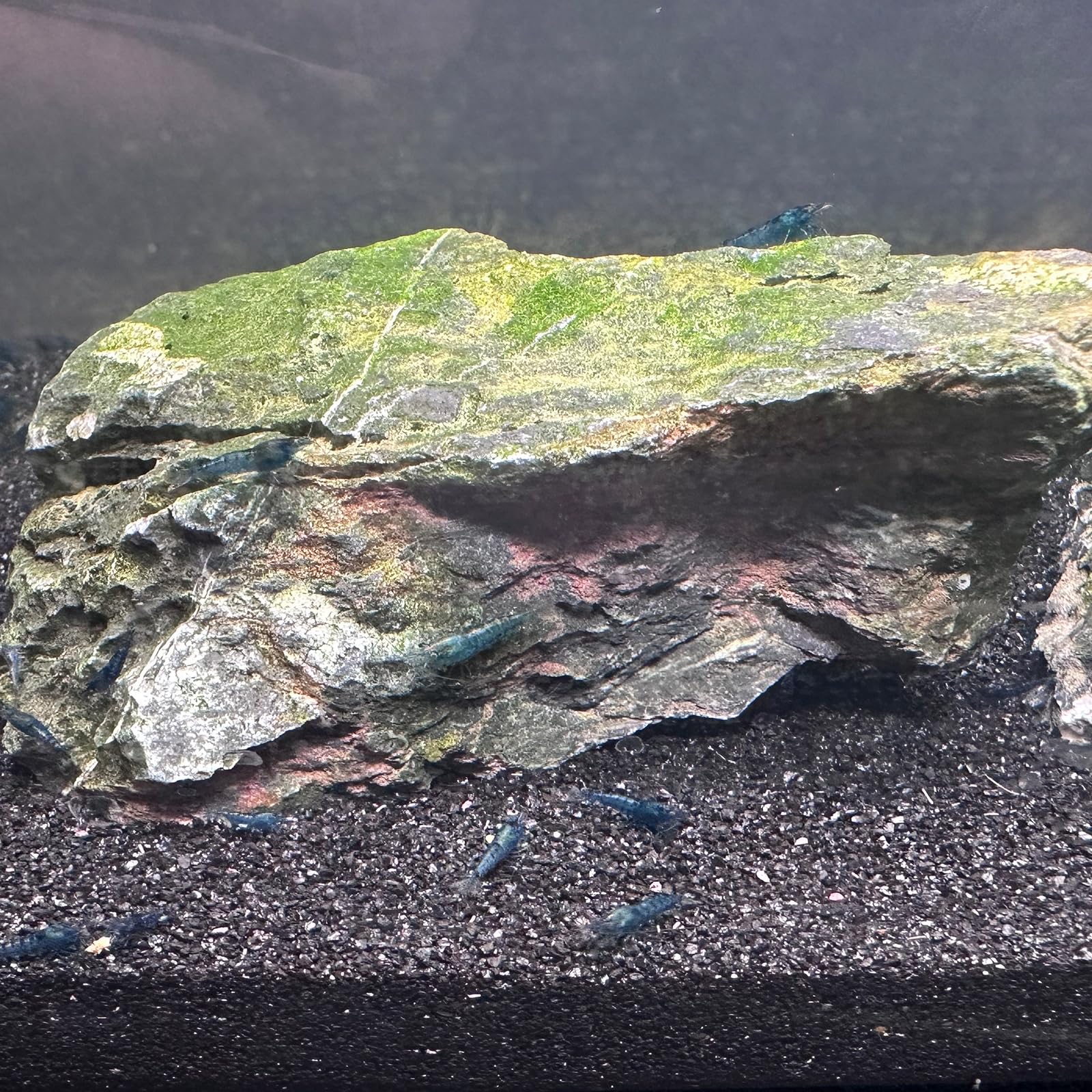 YISZM Arena de acuario, arena negra para pecera, 10 libras, sustrato de grava para acuario | para paisajismo, viveros, terrarios, plantas y manualidades