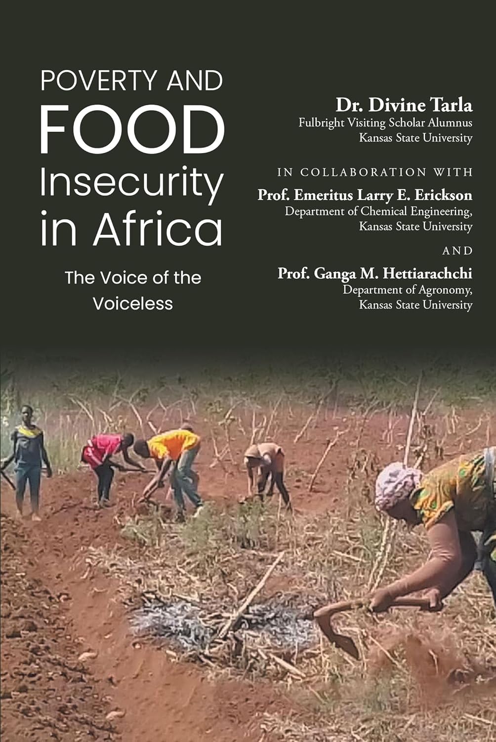 Poverty and Food Insecurity in Africa The Voice of the Voiceless eBook