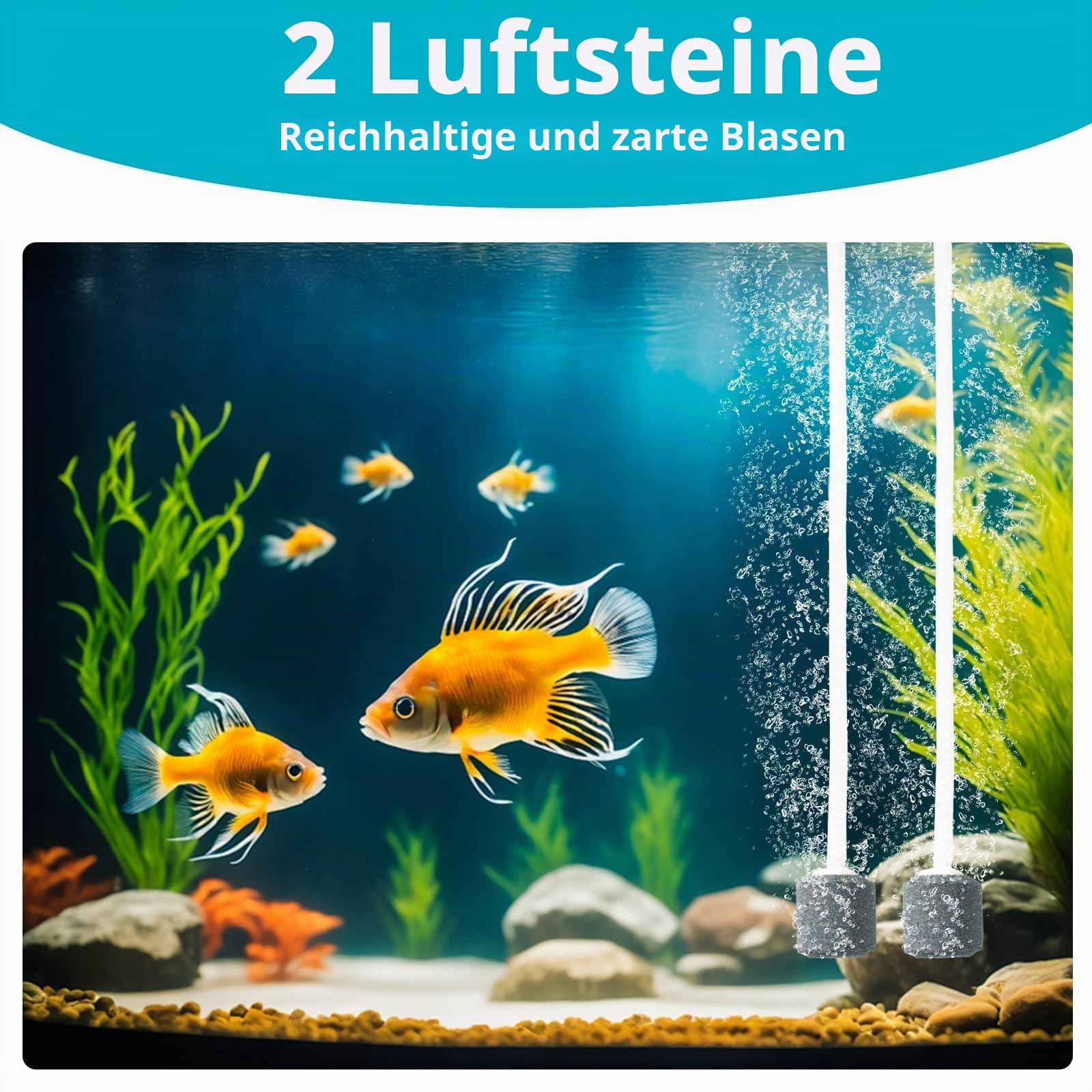 Solar Luftpumpen, Type-C-Laden und Solarladen sind verfügbar, 5W Oxygenator Aquarium Luftpumpe Angelbelüfter mit Rohr Luftblasensteinen, Teich Sauerstoffpumpe Solar