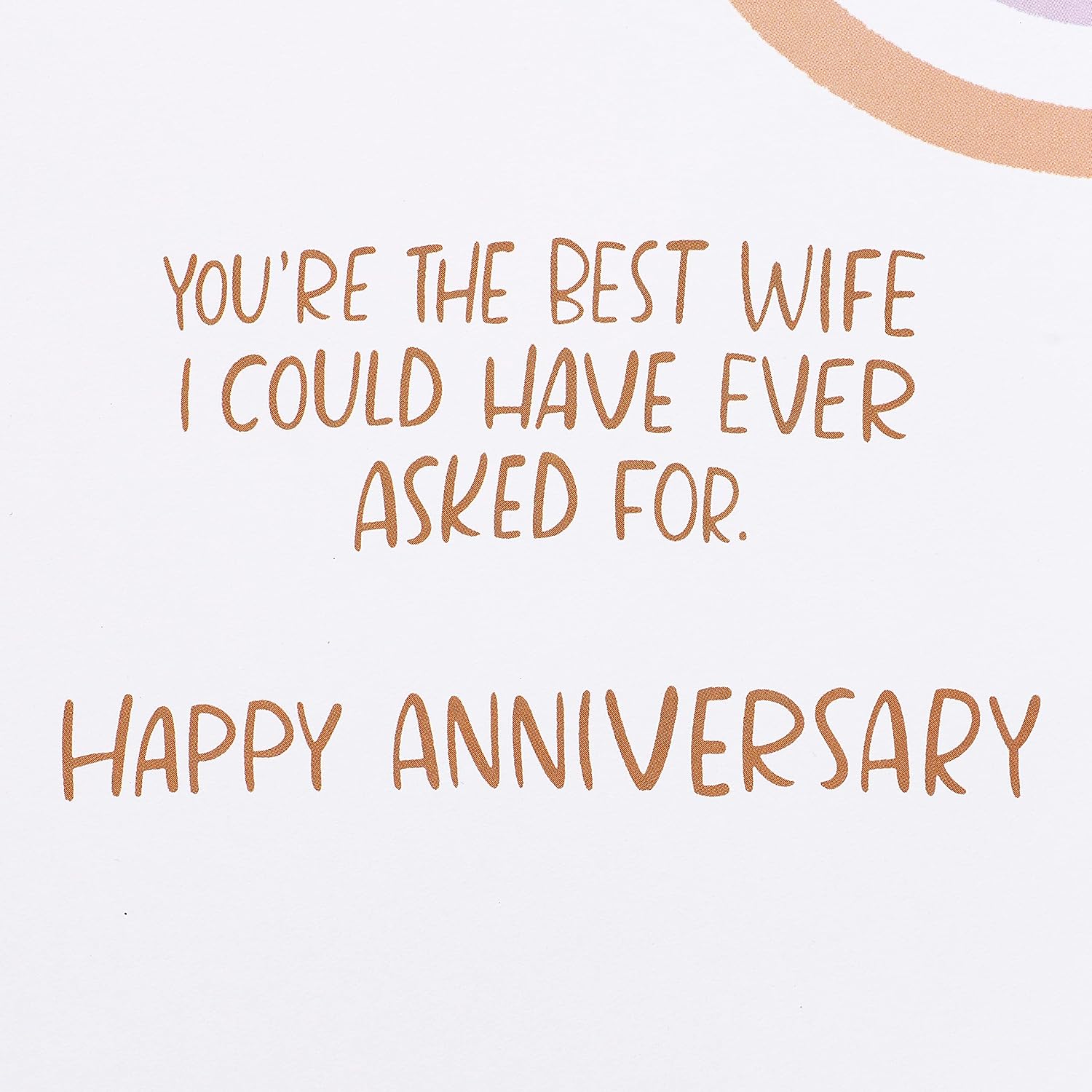 American Greetings Anniversary Card for Wife from Wife (The Best Wife)
