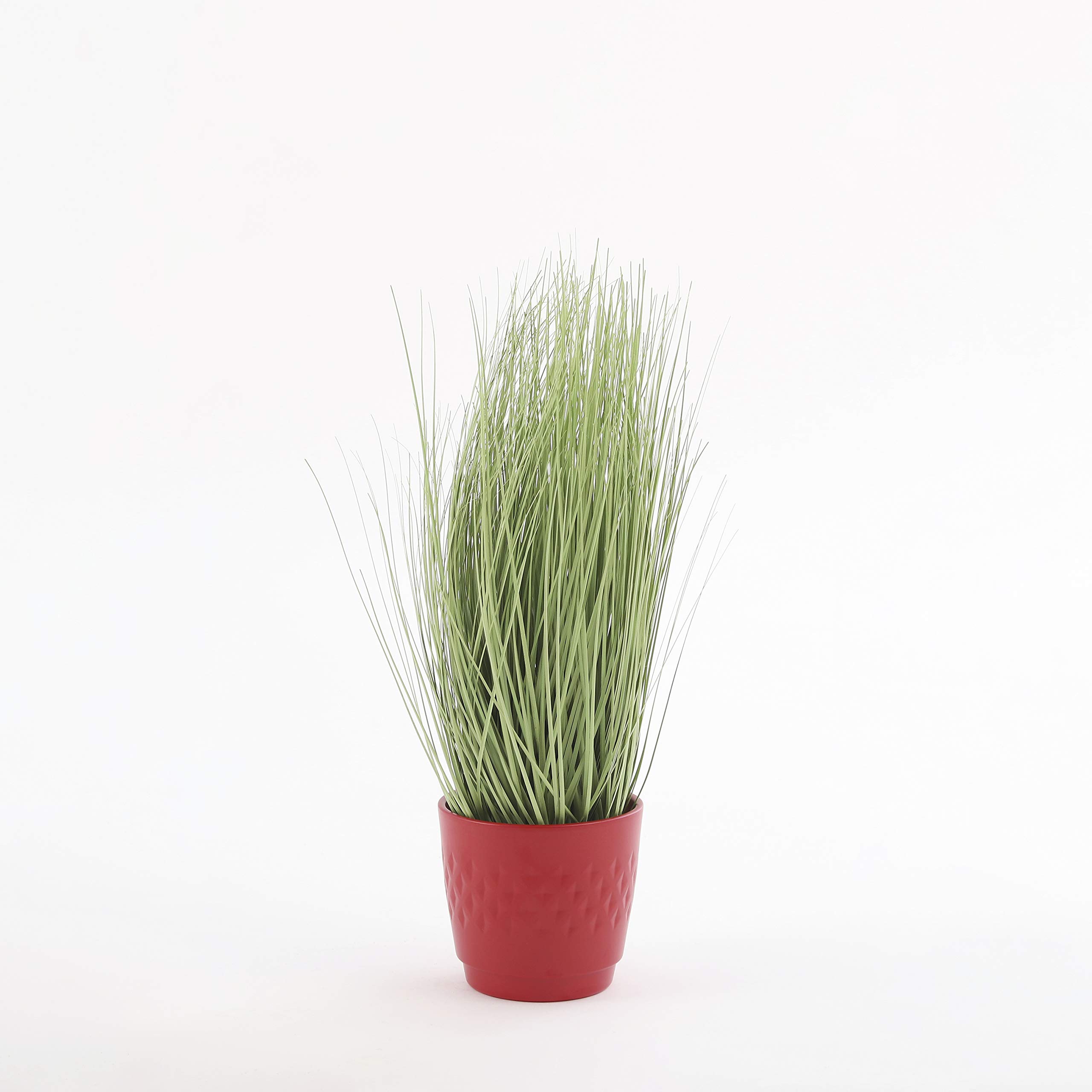 Mica decorations 1005549 kwiaty, zielone