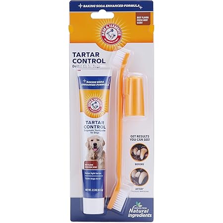 nylabone toothpaste reviews