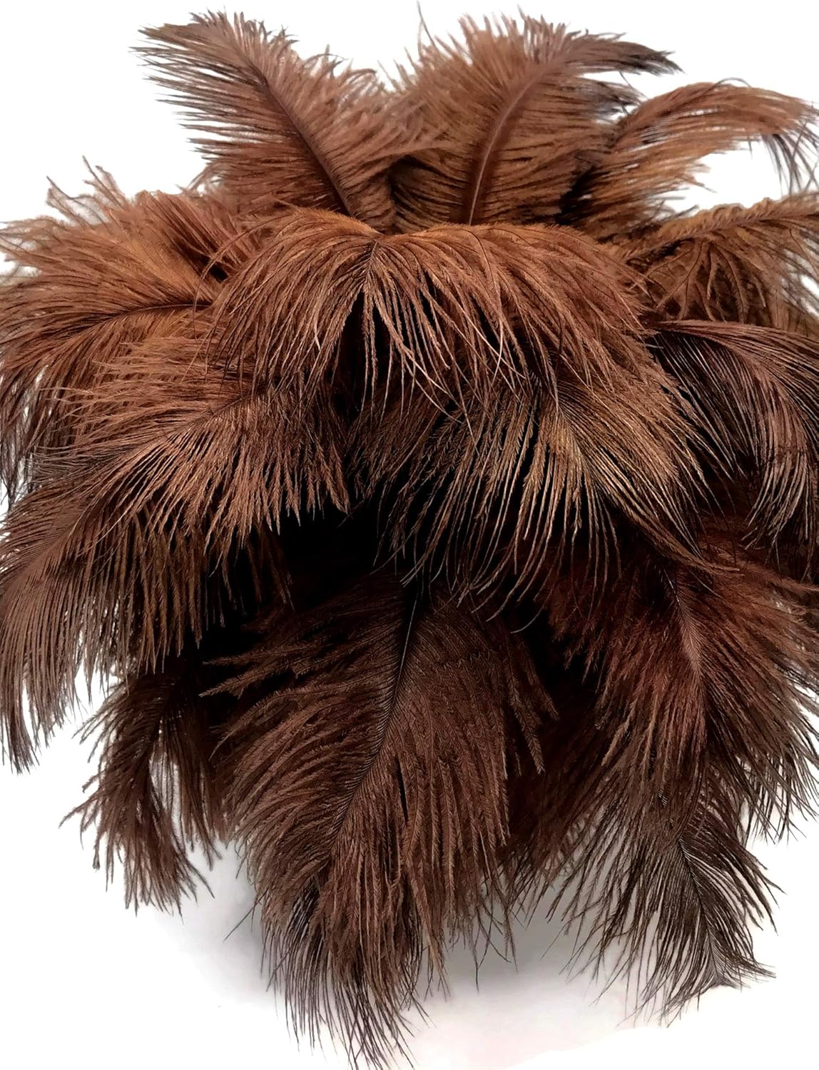 Moonlight Feather | 100 Pieces - 6-8" Brown Wholesale Ostrich Drabs Feathers (Bulk) Party Centerpiece Wedding Supplier
