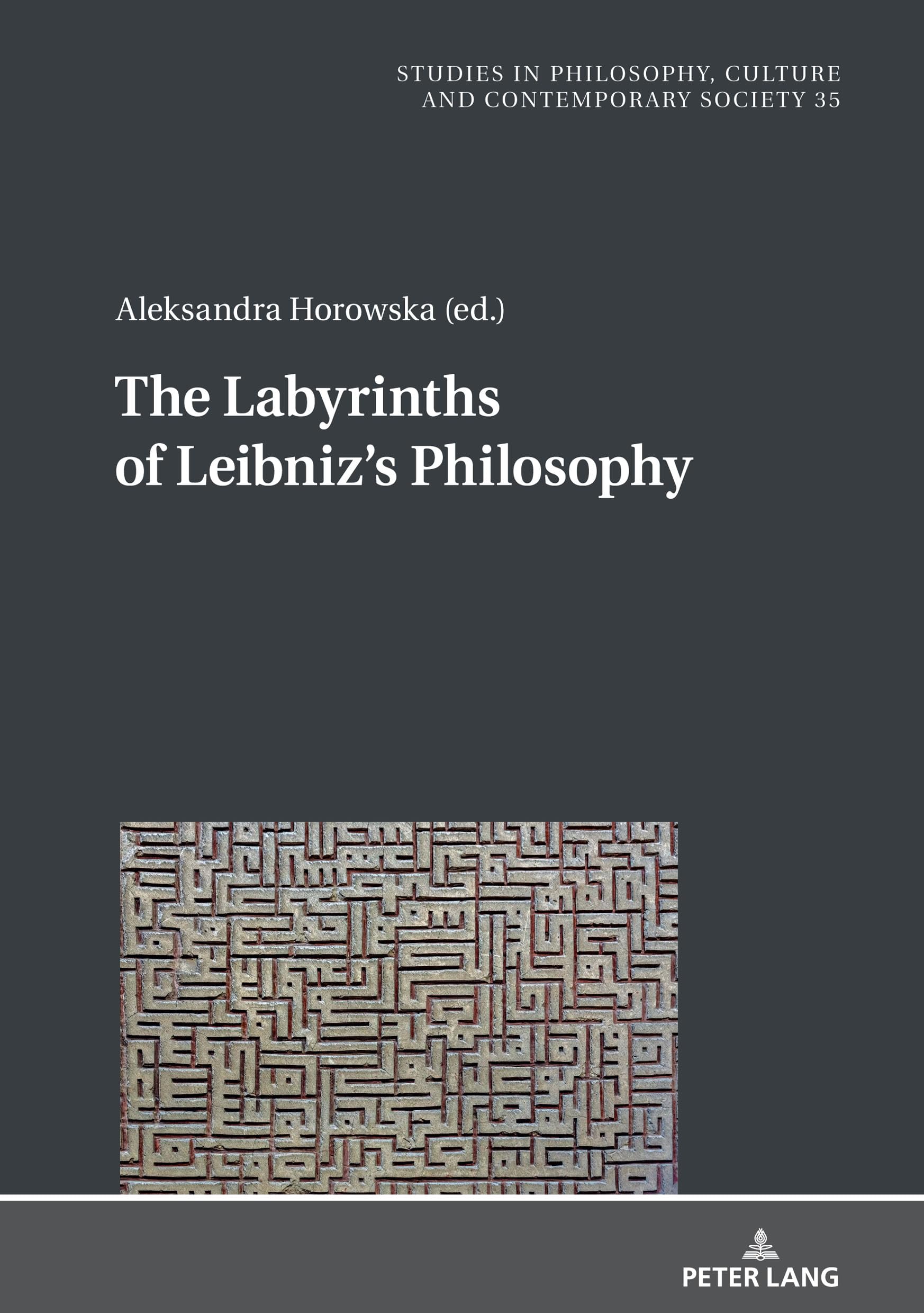 Buy The Labyrinths of Leibniz's Philosophy: 35 (Studies in Philosophy, Culture and Contemporary Society, 35) — BookShops.in
