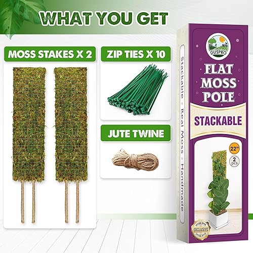 Miniatura 5 de DUSPRO Postes de musgo de malla plana para plantas trepadoras, Monstera, poste de musgo apilable para plantas con musgo real, poste para plantas en
