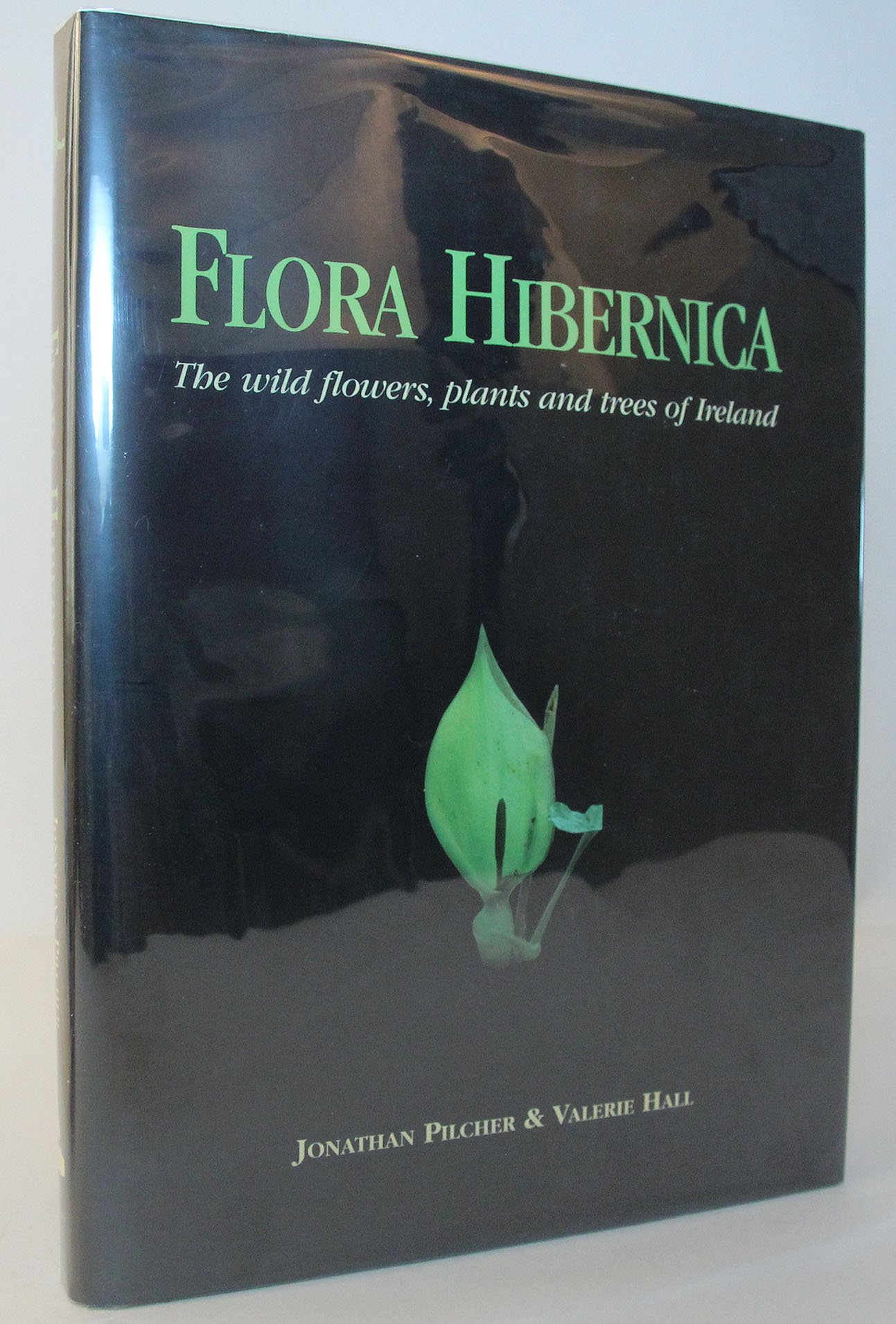 Flora Hibernica: The Wild Flowers, Plants and Trees of Ireland