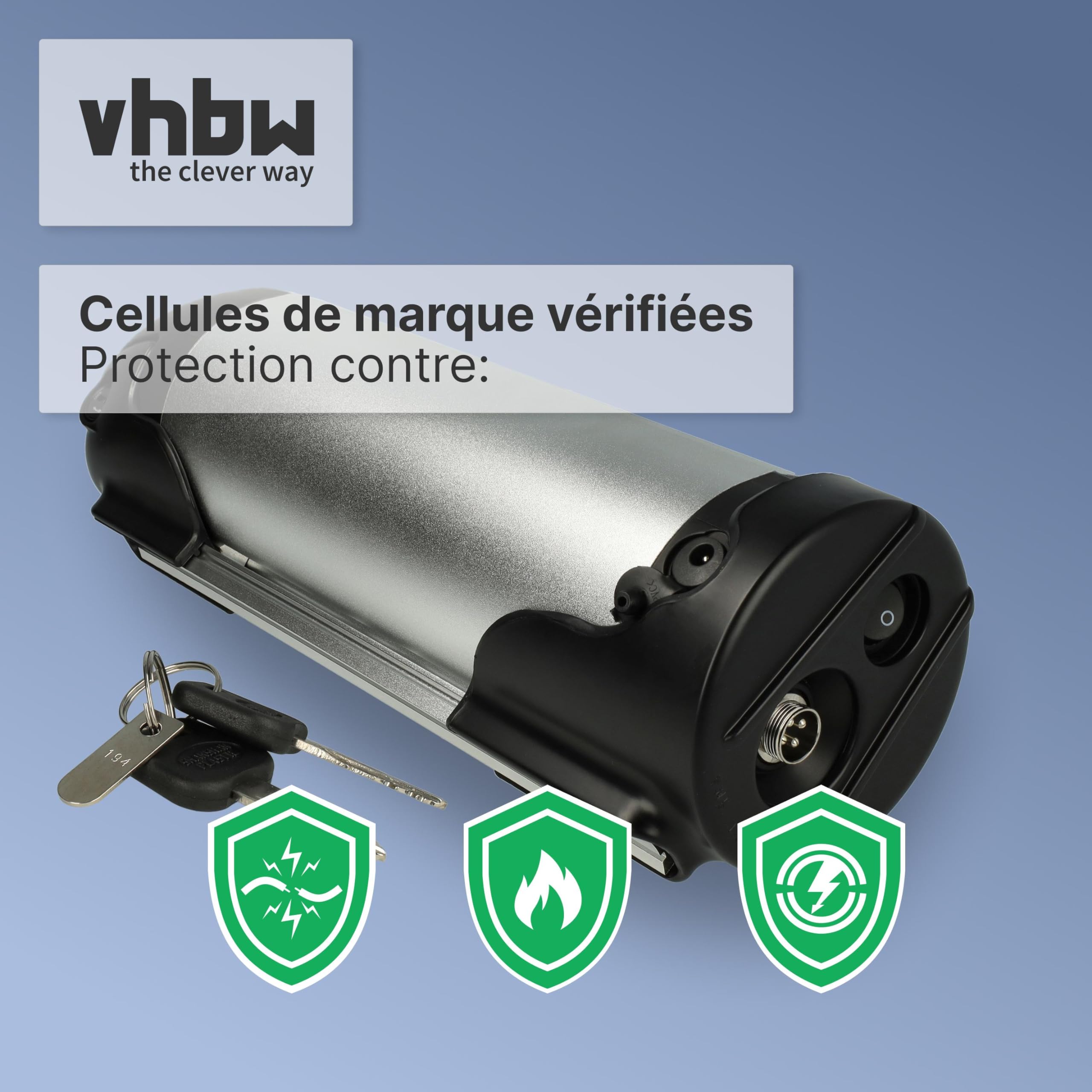 vhbw Batterie pour Prophete (Trio)