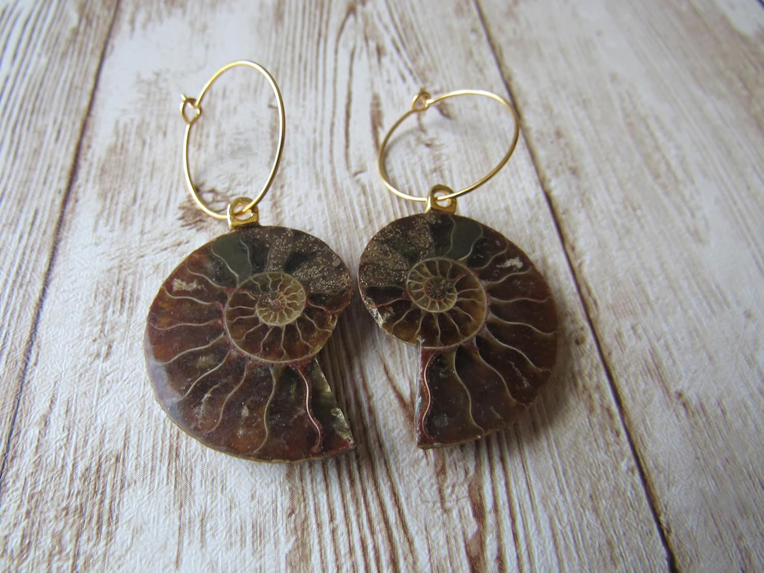 Ammonite Earrings Fossil Hoop Earrings seashell gold beach wedding E667