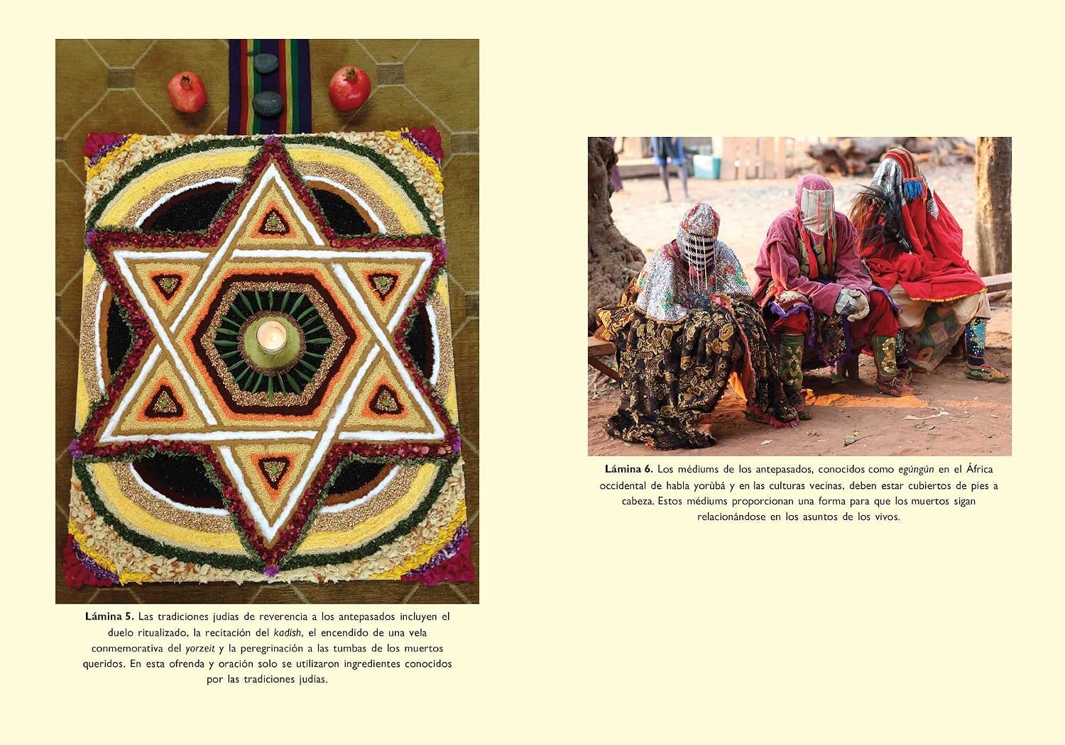 Medicina ancestral: Rituales para la sanación personal y familiar (Spanish Edition)