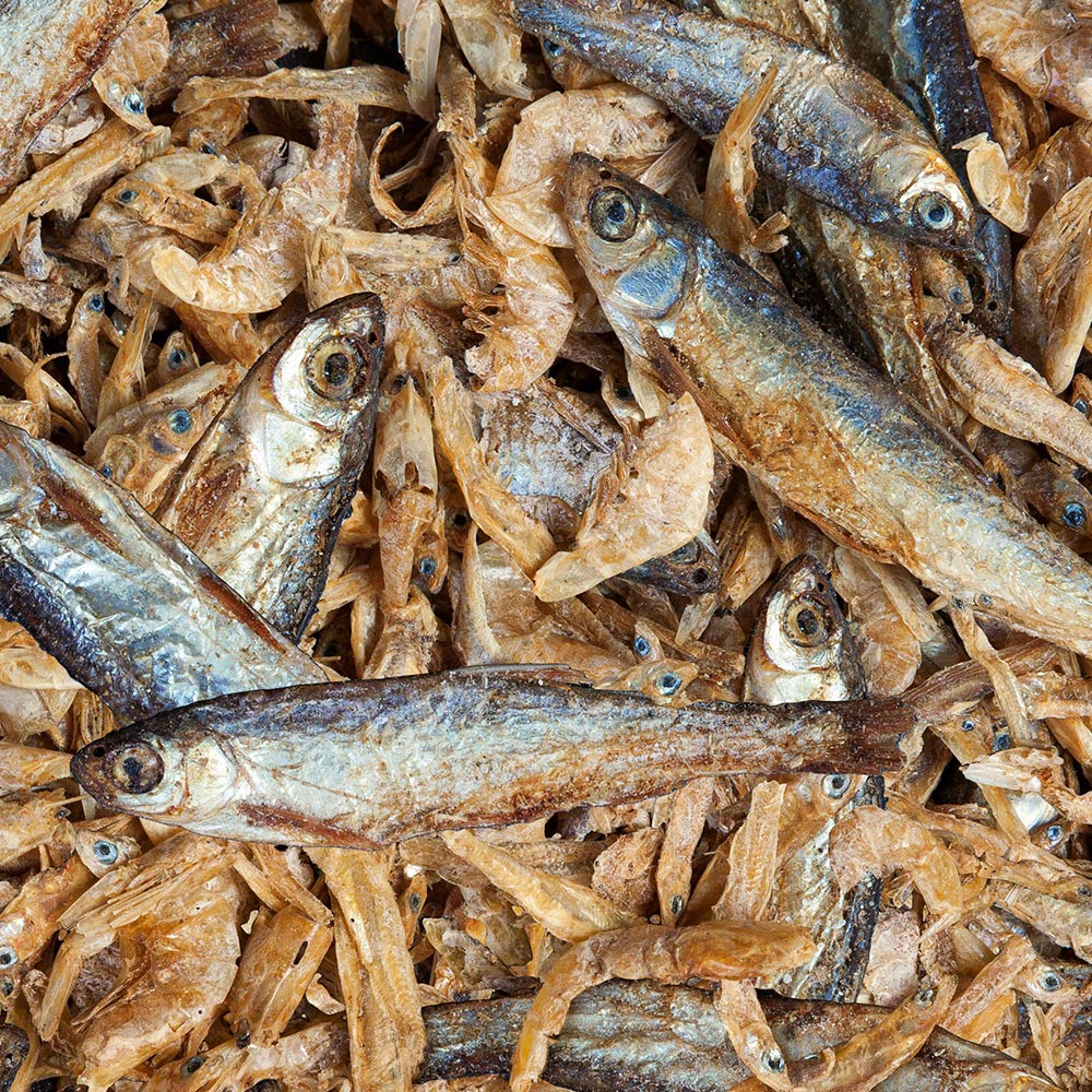 Sera Raffy Royal Nature 3,8 L (750 g) getrocknete Fische & Garnelen Futter für Wasserschildkröten