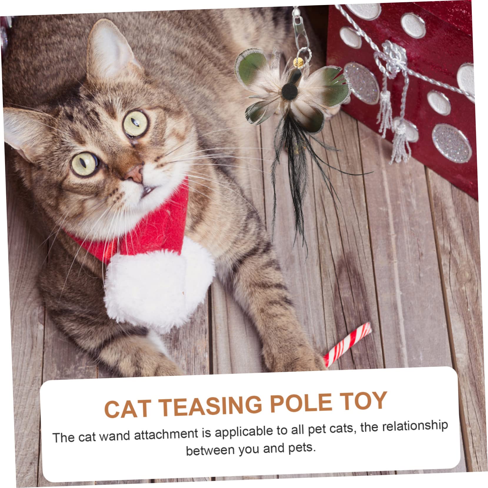 minkissy 30 Pièces Remplacement pour Chat Teaser Suspendus Teaser Chat ER Remplacement ER pour Remplacement