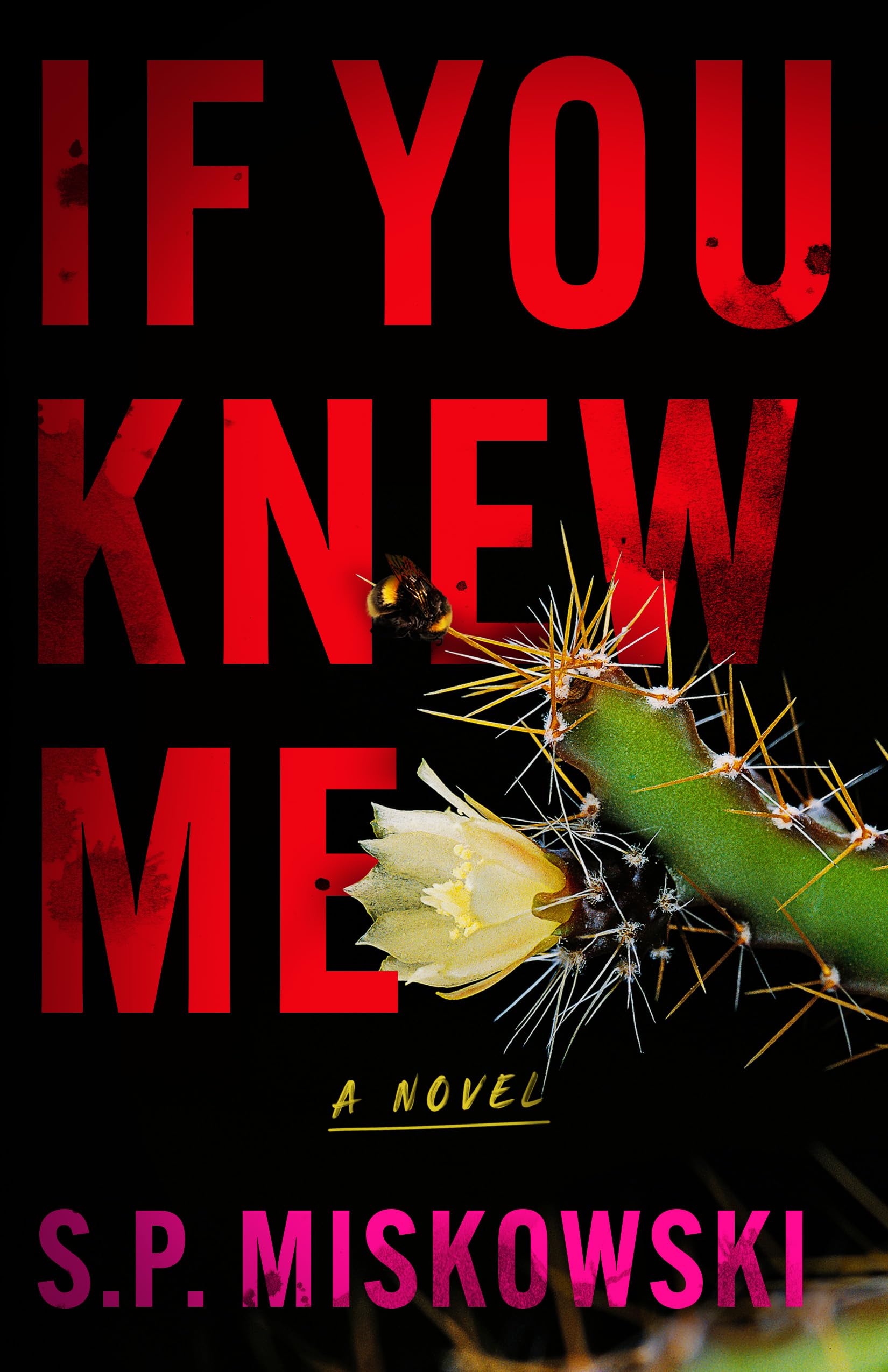 If You Knew Me : A Novel