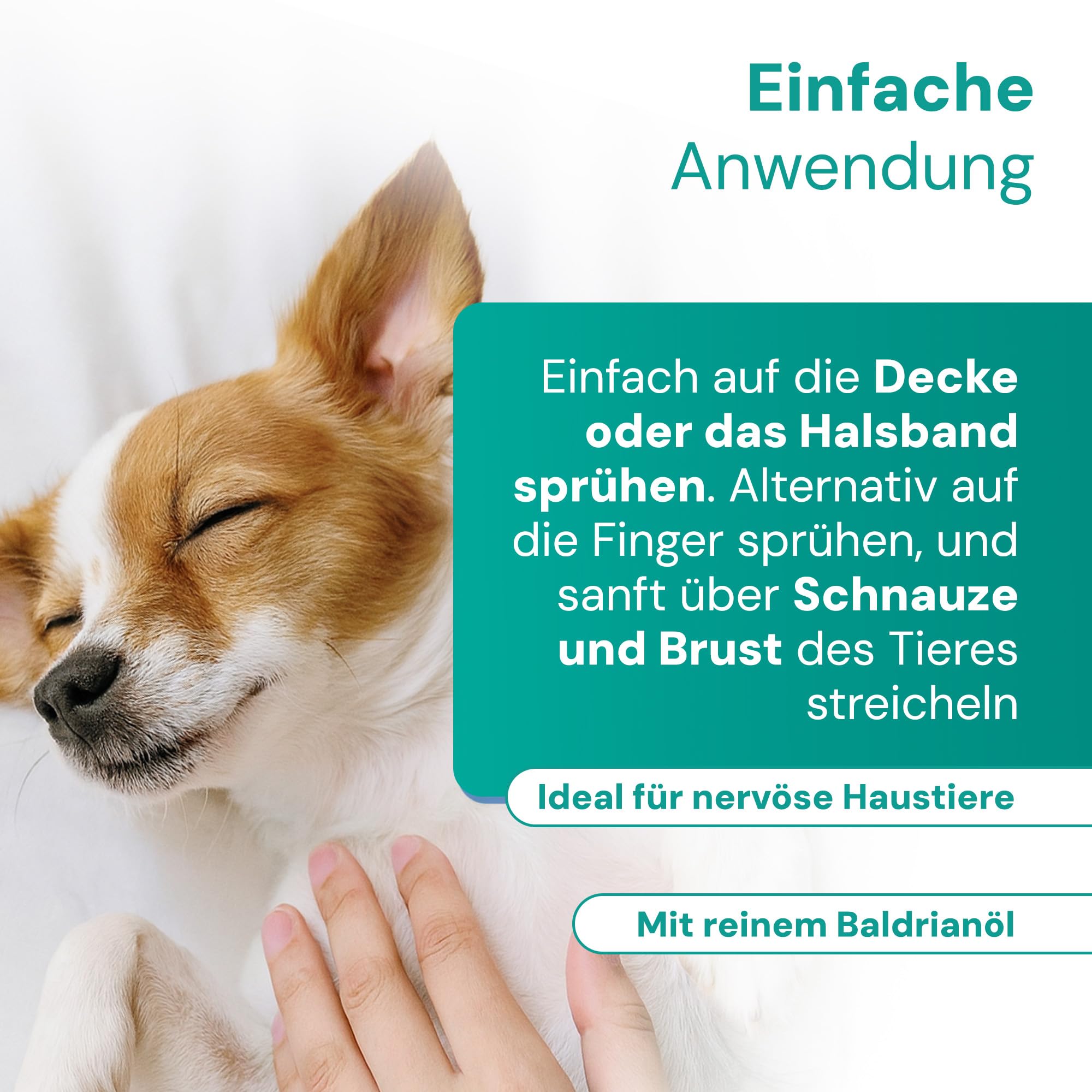 Emmi Pet Remedy Beruhigungsspray 200 ml – Natürliches Anti-Stress Spray für Hunde, Katzen & Haustiere I Beruhigung bei Angst, Trennung, Reisen & Feuerwerk I Mit Baldrian, Vetiver & ätherischen Ölen