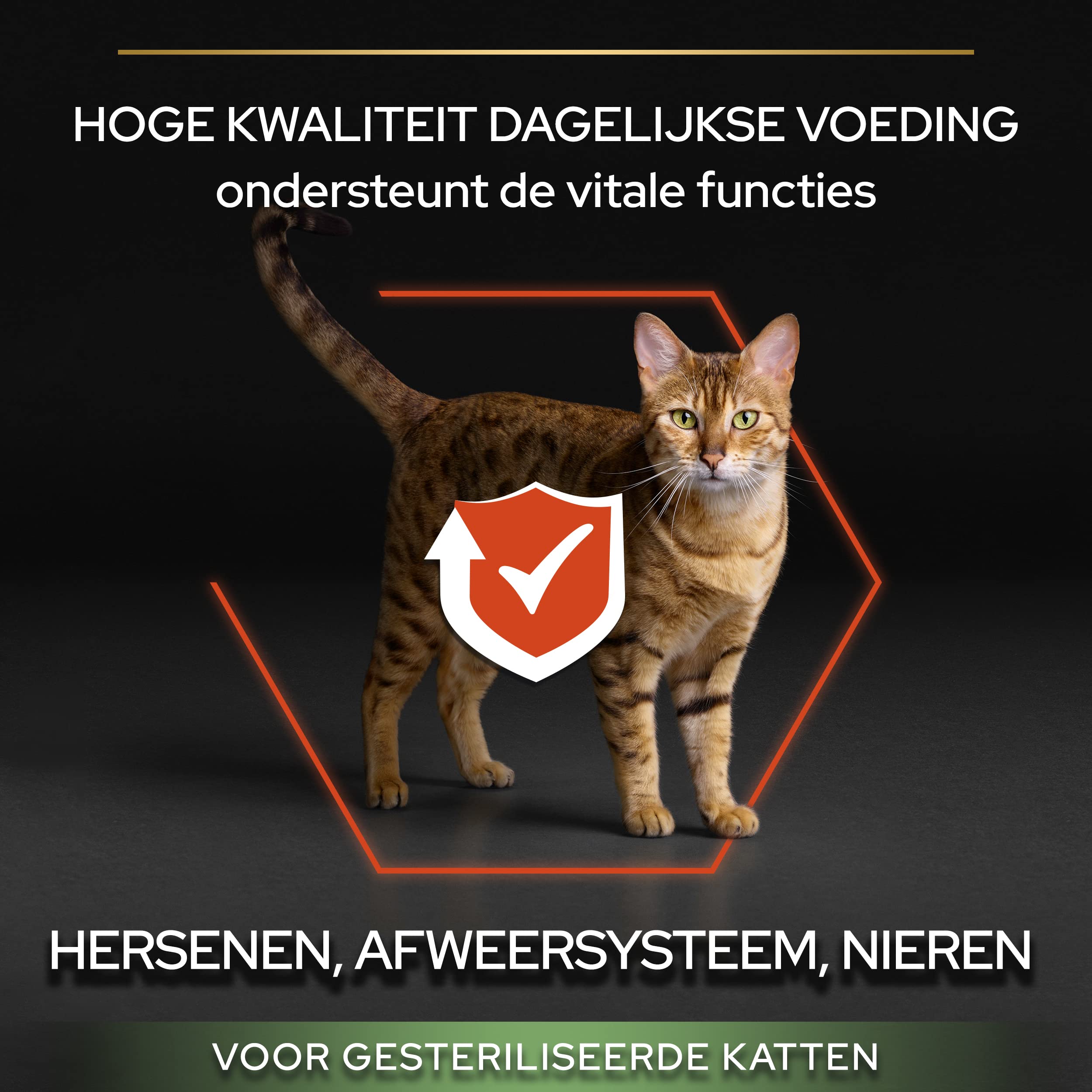 Purina Pro Plan Sterilised Vital Function - Pienso para Gatos Adultos Rico en salmón, 10 kg
