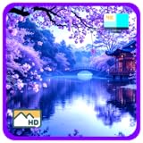 桜の静寂 - 日本の美しい春の桜が眠りを誘うスリープタイマー付き