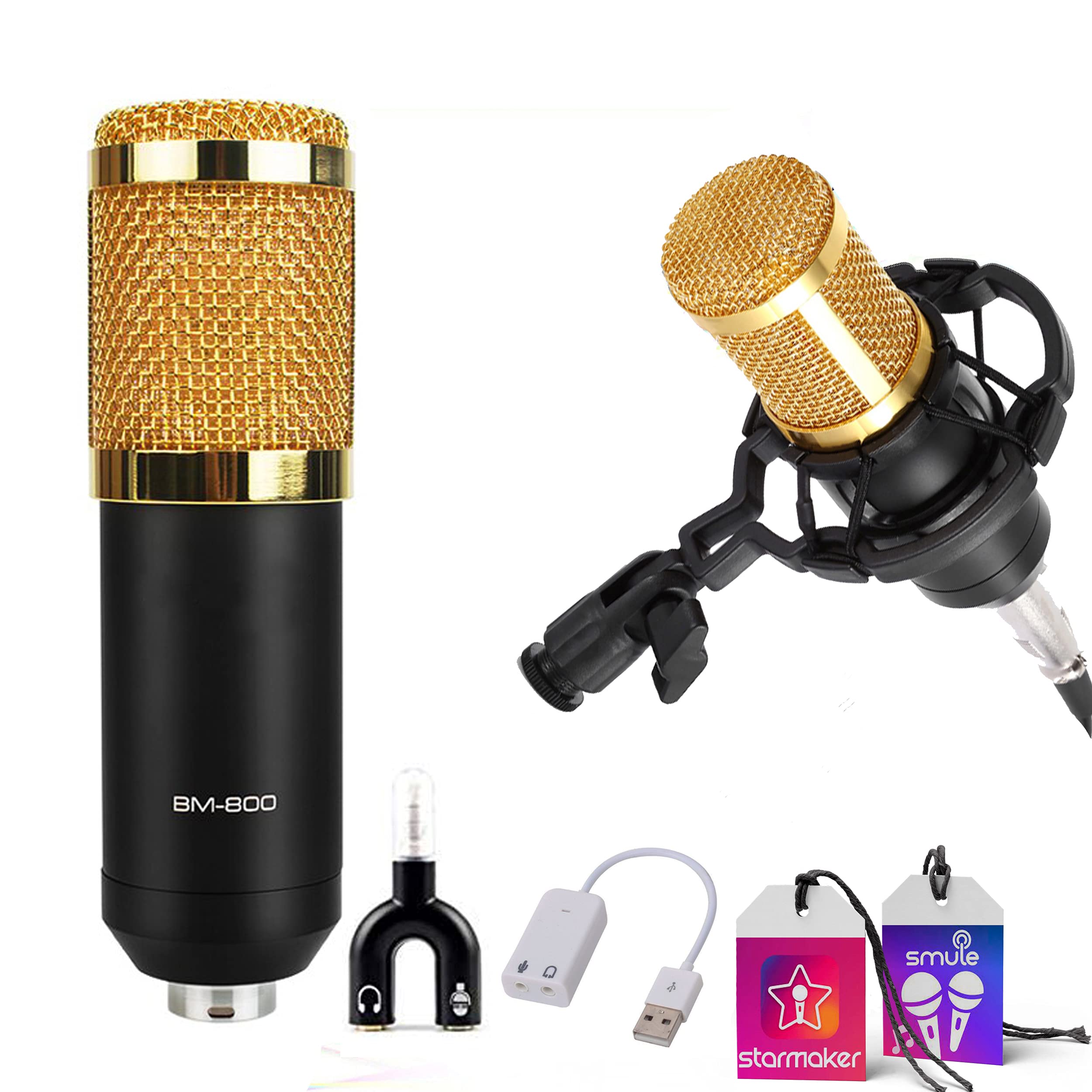 Buy Studiostar BM800 Condenser Microphone for Professional Studio with