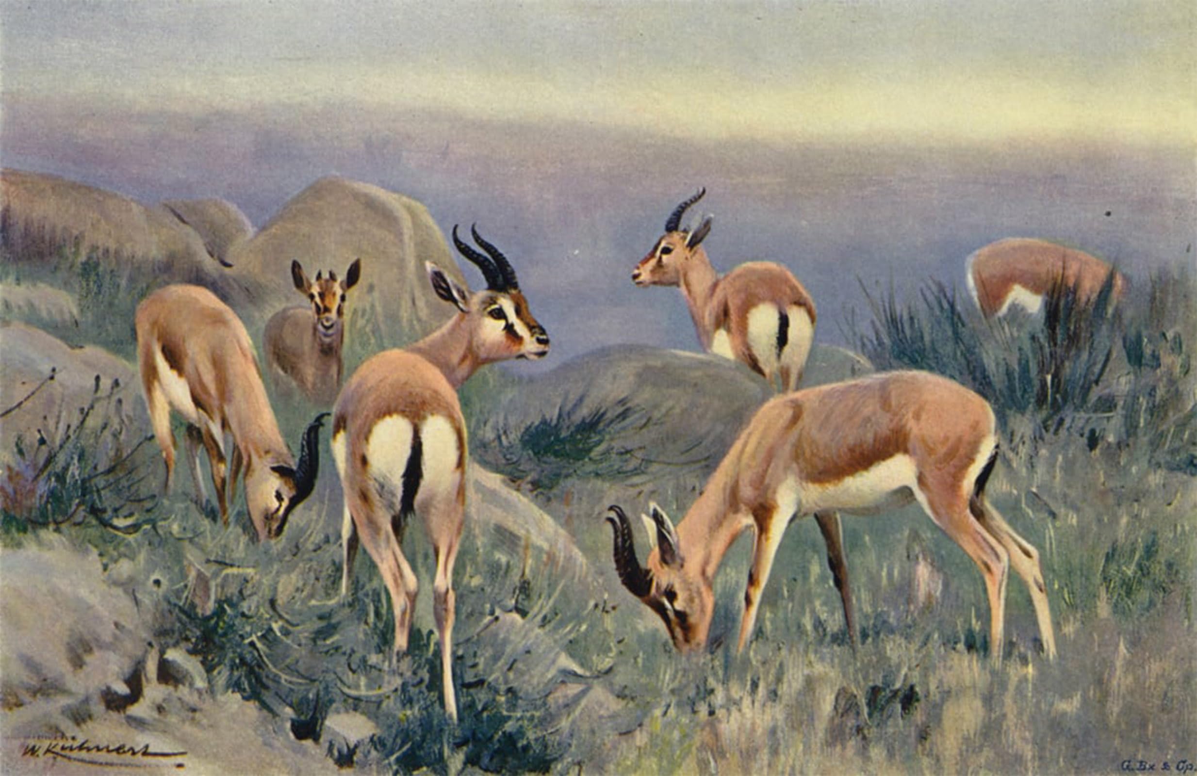 Cuadro en lienzo vintage de Wilhelm Kuhnert para transformar tu dormitorio con arte mural 5