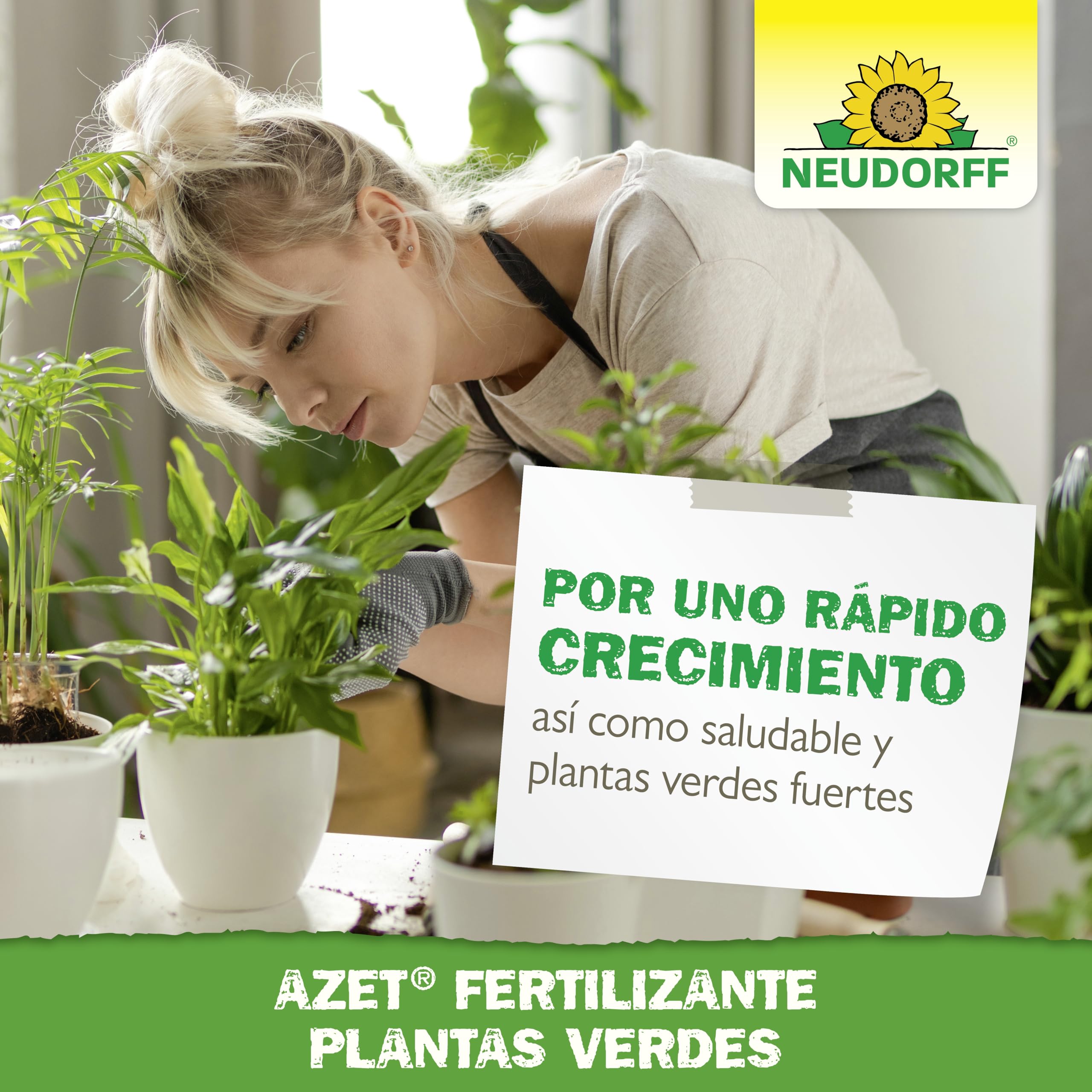 Neudorff Azet Fertilizante Plantas Verdes - Abono orgánico 100% natural para un crecimiento rápido y hojas de color verde intenso para todas las plantas verdes, 250 ml