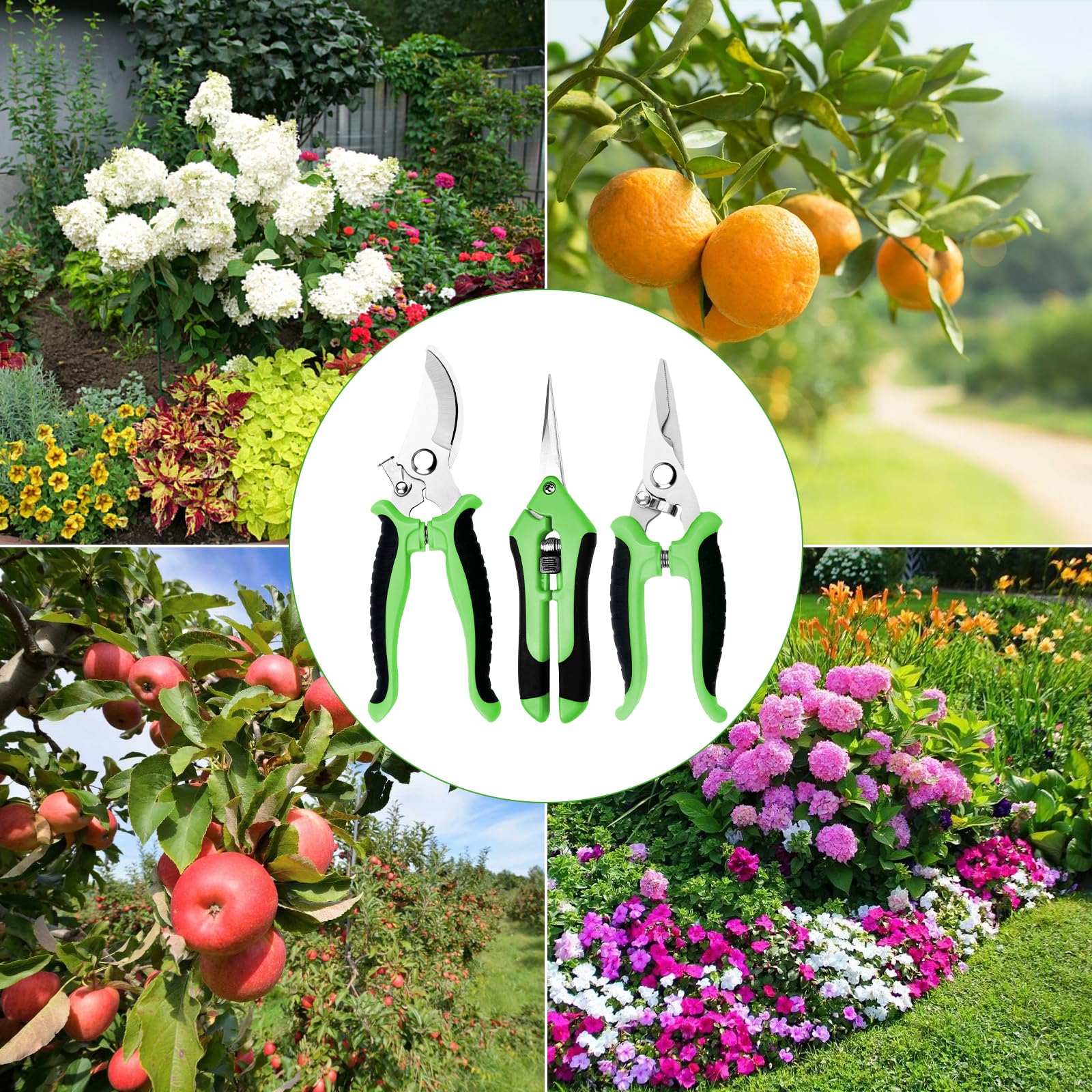 3 Pezzi Forbici da Giardino, Forbici Potatura, Cesoie a Mano, Cesoie da Giardinaggio, Troncarami con Impugnatura Di Blocco, Potatore Manuale, per Piante, Fiori, Rami, Bonsai, Verdura