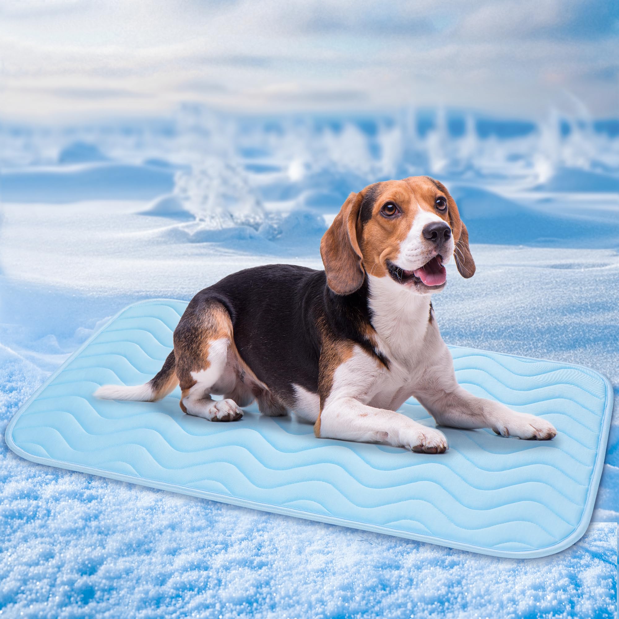 BaoDan Tapis Rafraichissant Chien Chat, 75x50cm Tapis Rafraichissant pour Chien, Soie Glacée Respirant, Coussin Rafraîchissant Lavable, Durable, Idéal pour Les Animaux de Compagnie en été, Bleu