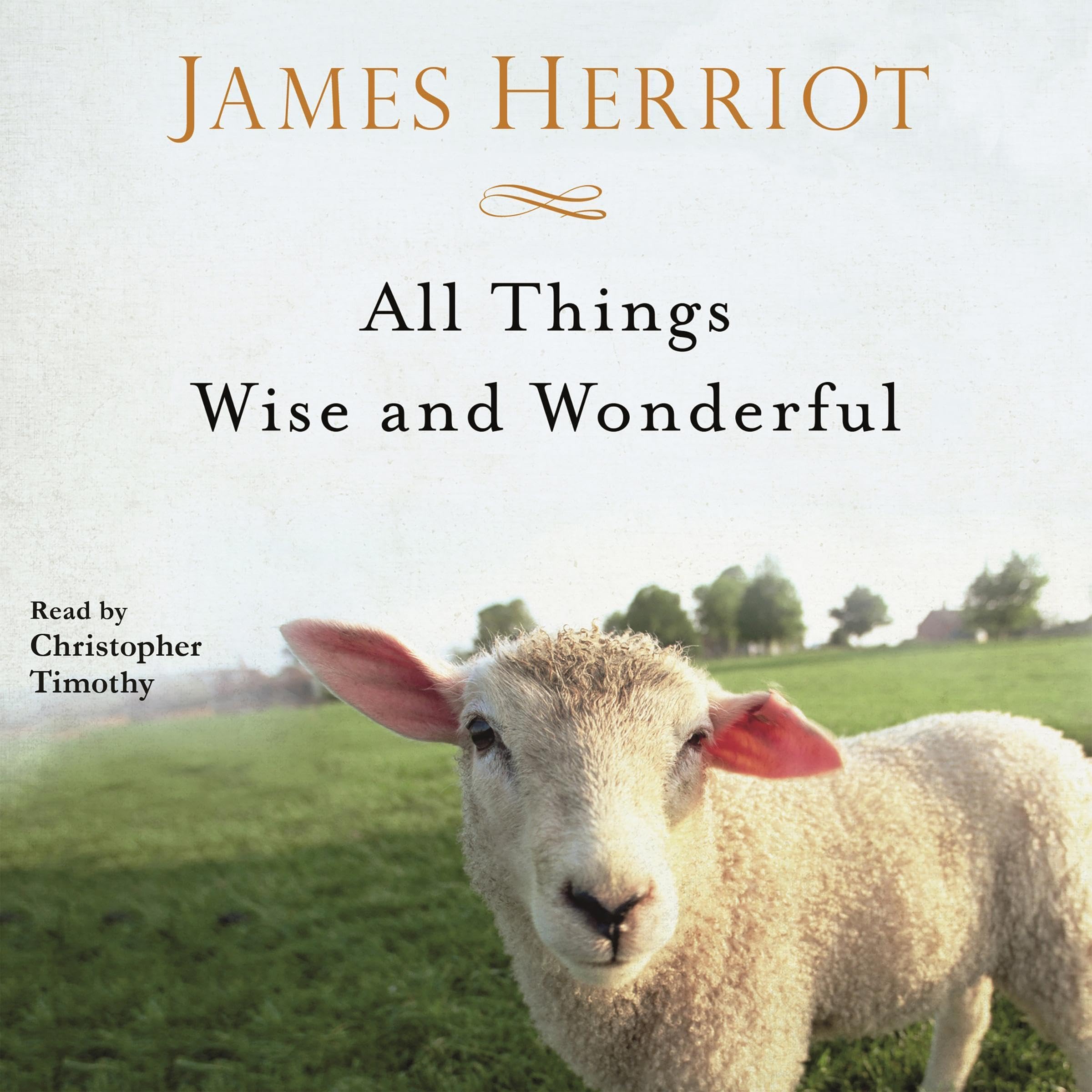 Cover art for All Things Wise and Wonderful